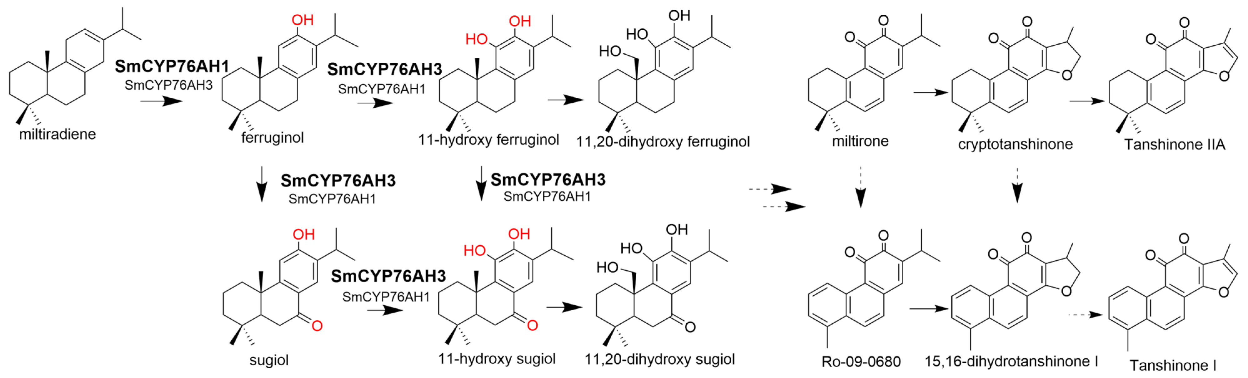 Molecules 28 04711 g001