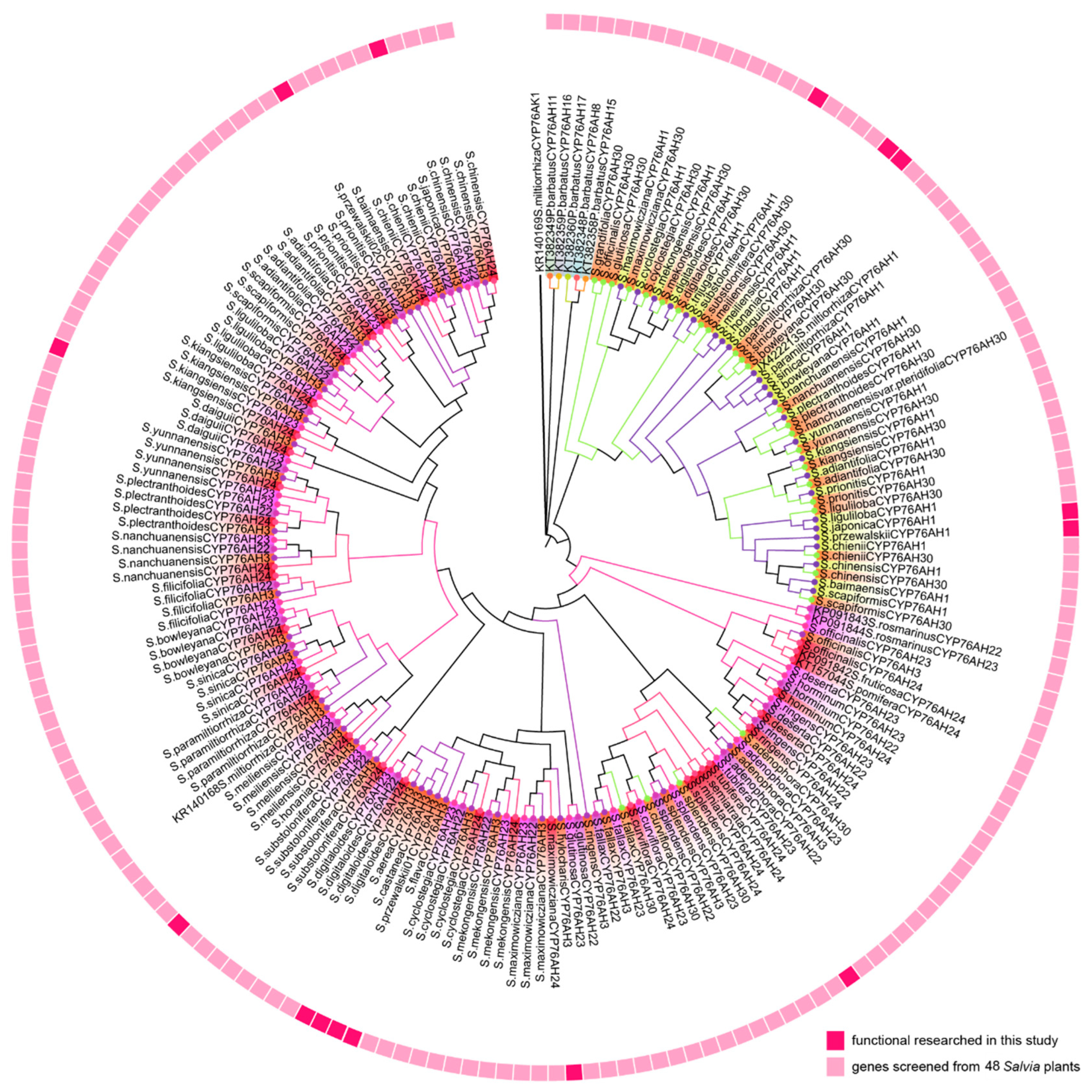 Molecules 28 04711 g003
