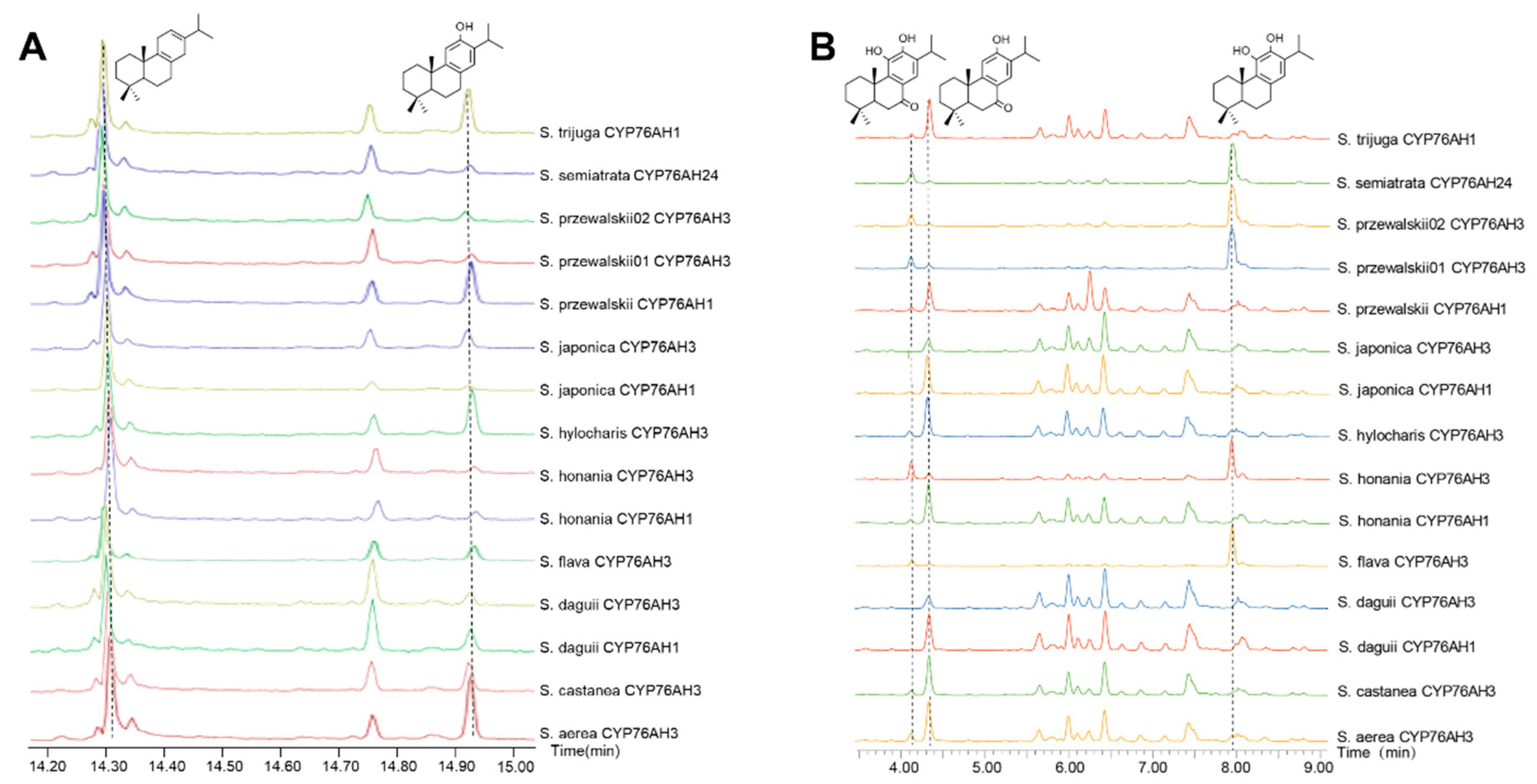 Molecules 28 04711 g004