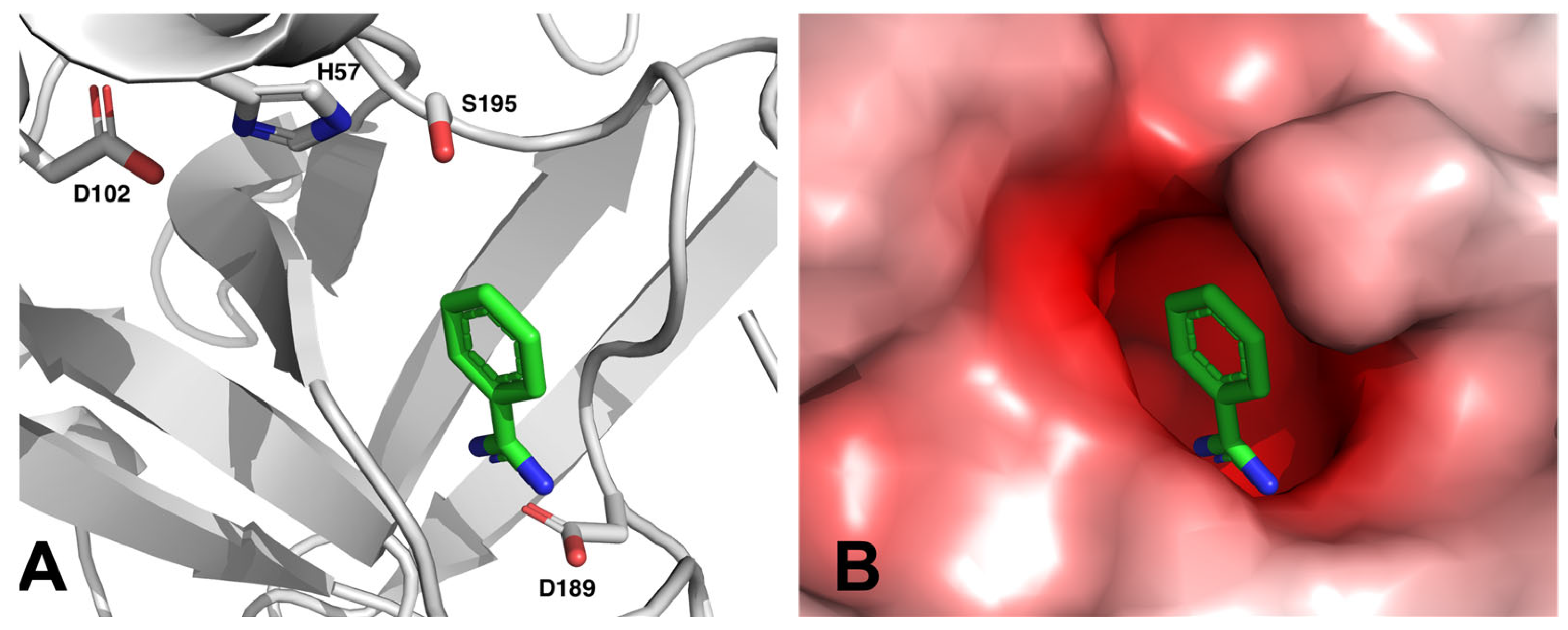 Molecules 28 04713 g003