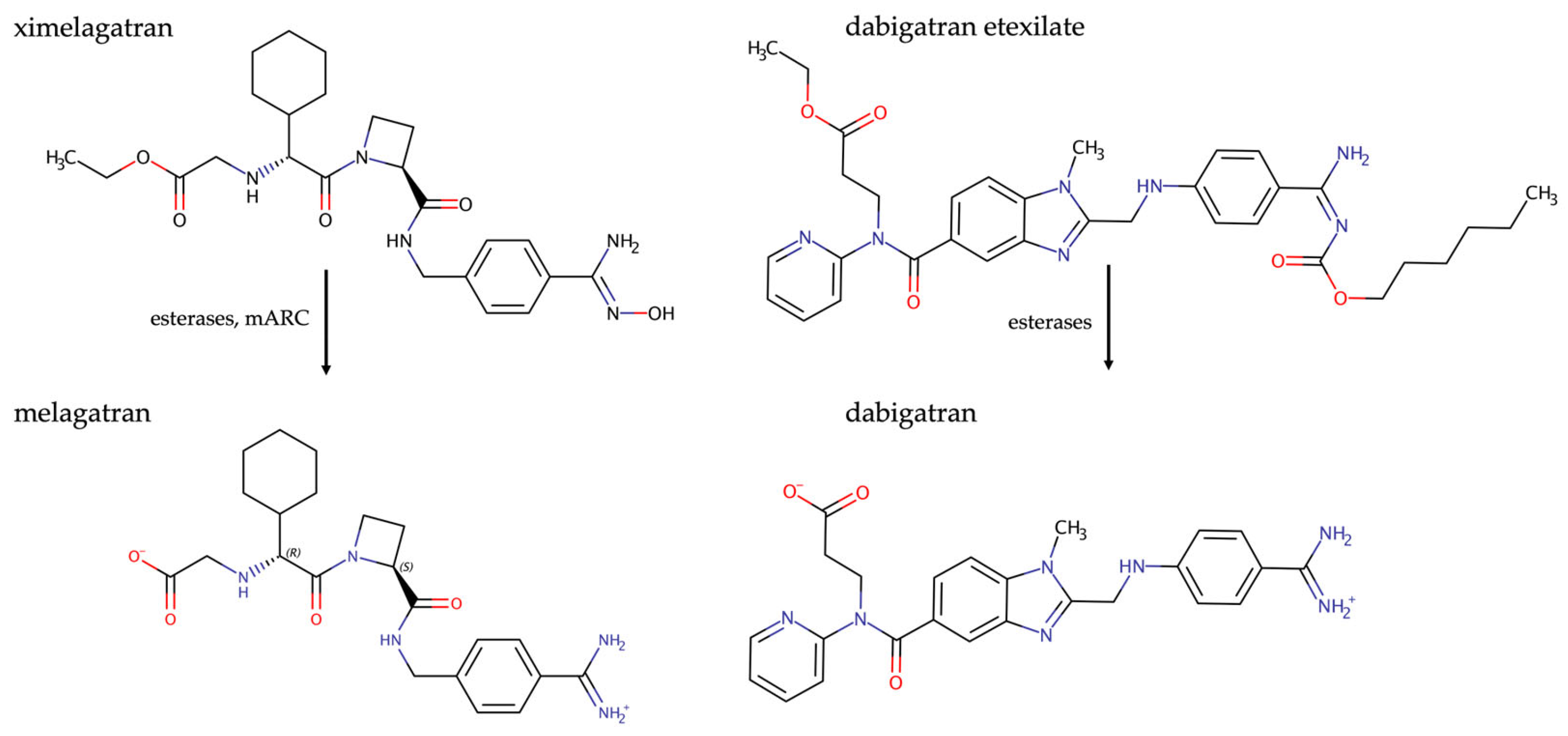 Molecules 28 04713 g004