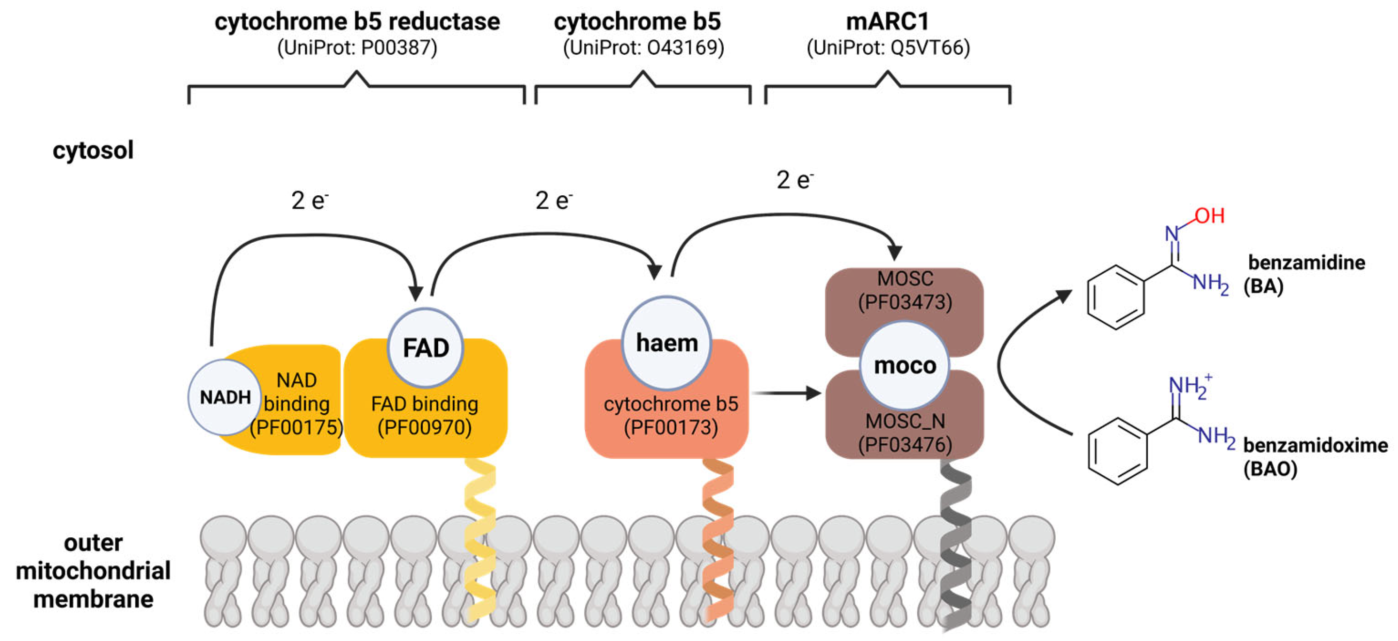 Molecules 28 04713 g005