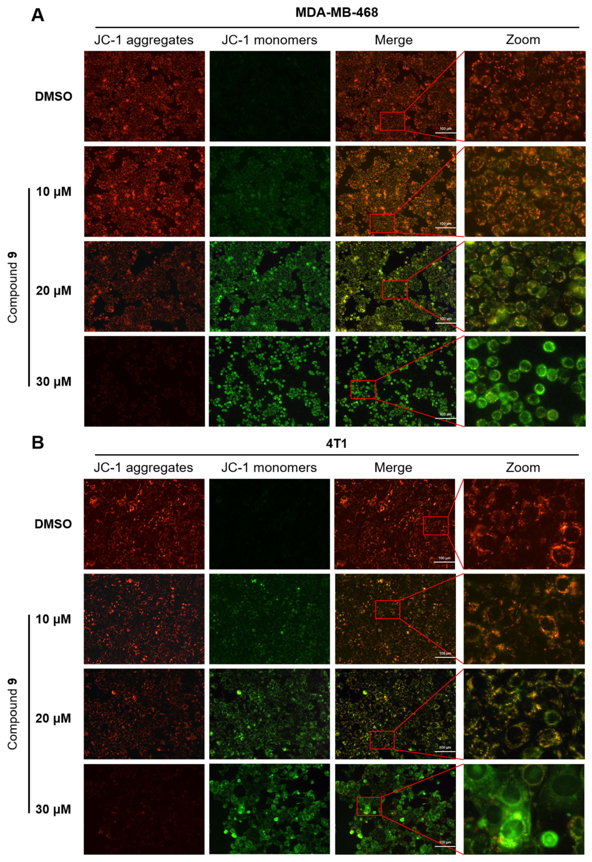 Molecules 28 04715 g006 Molecules 28 04715 g006