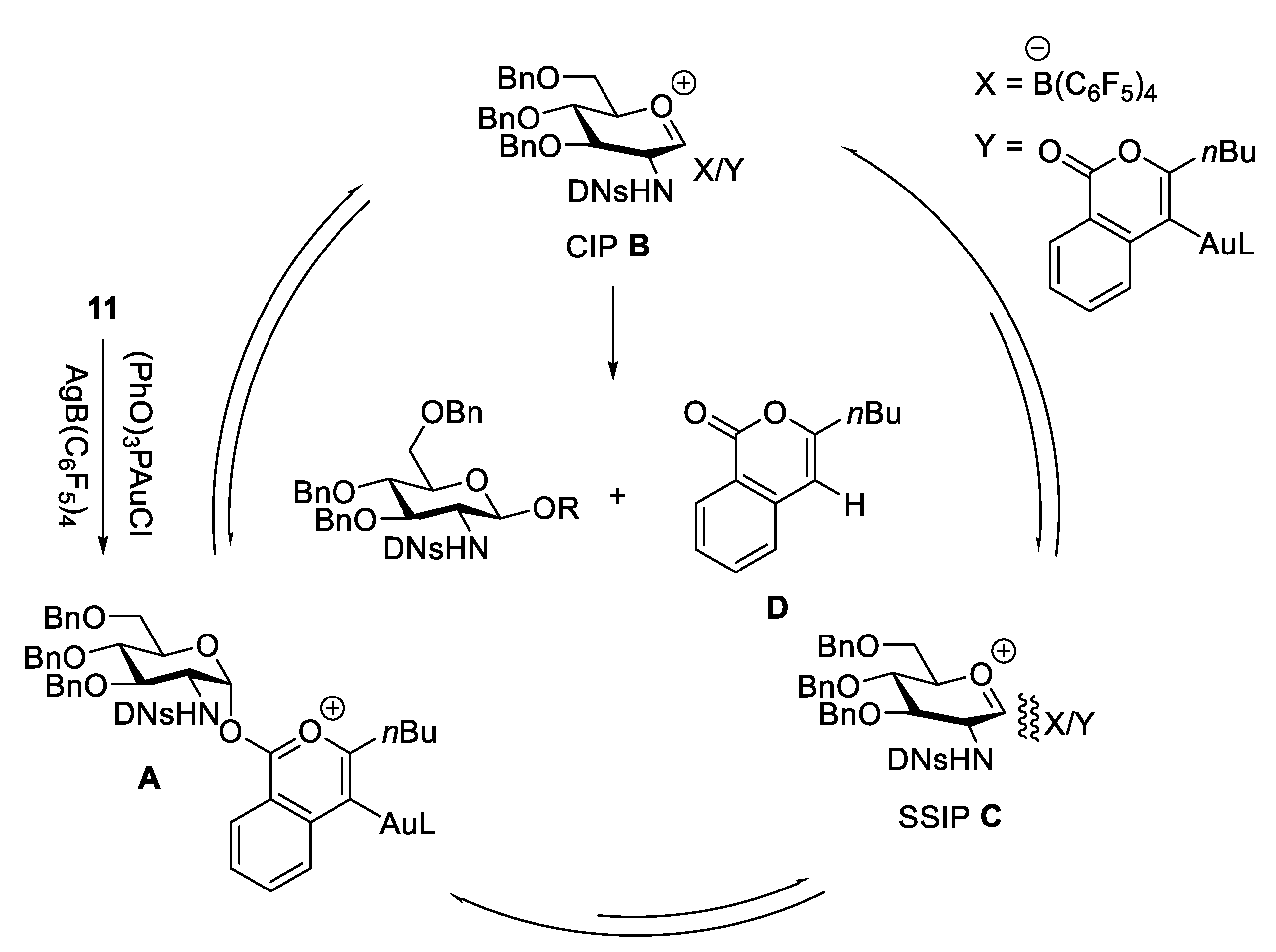 Molecules 28 04724 g003 Molecules 28 04724 g003