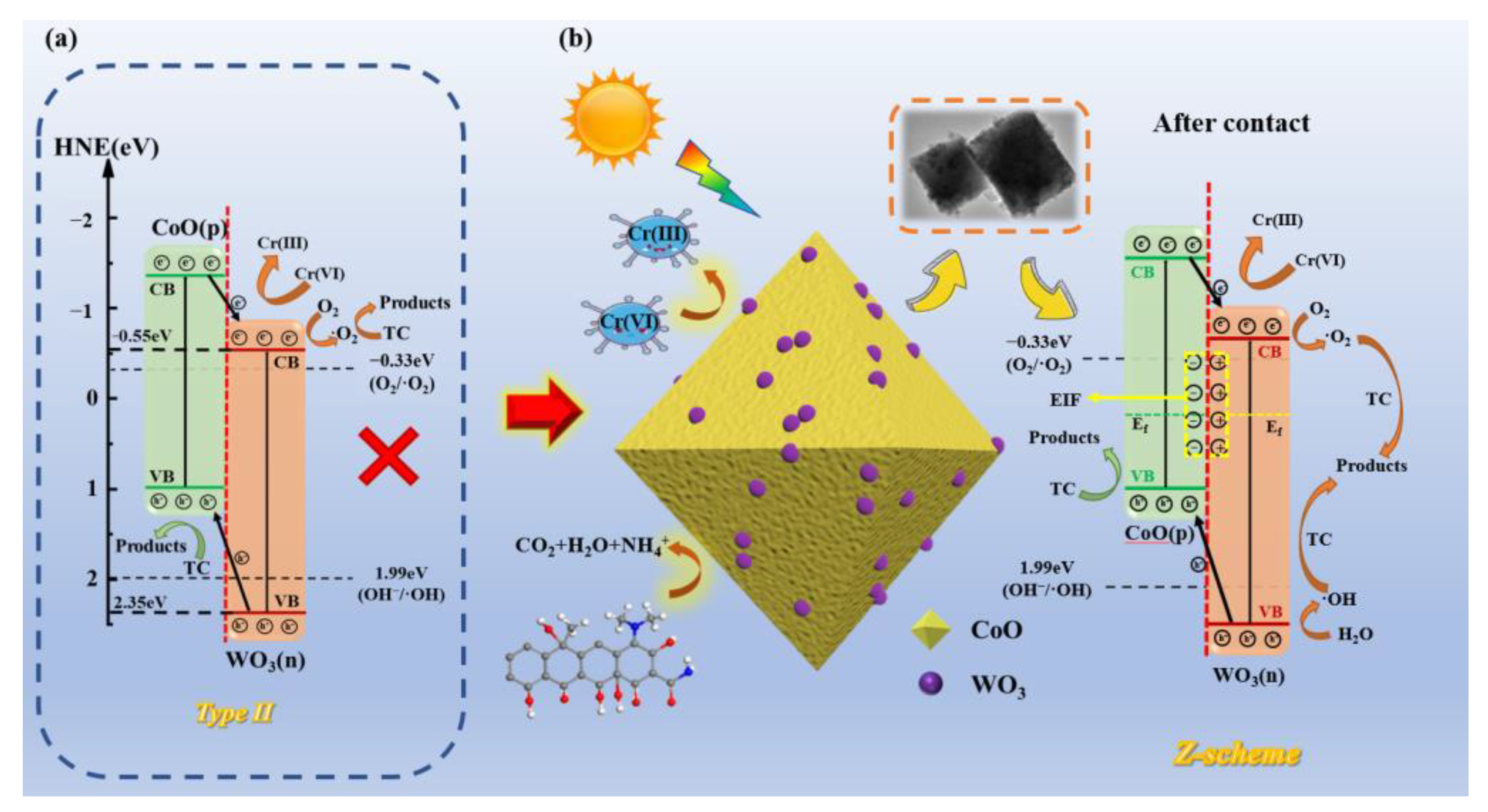 Molecules 28 04727 g009 Molecules 28 04727 g009