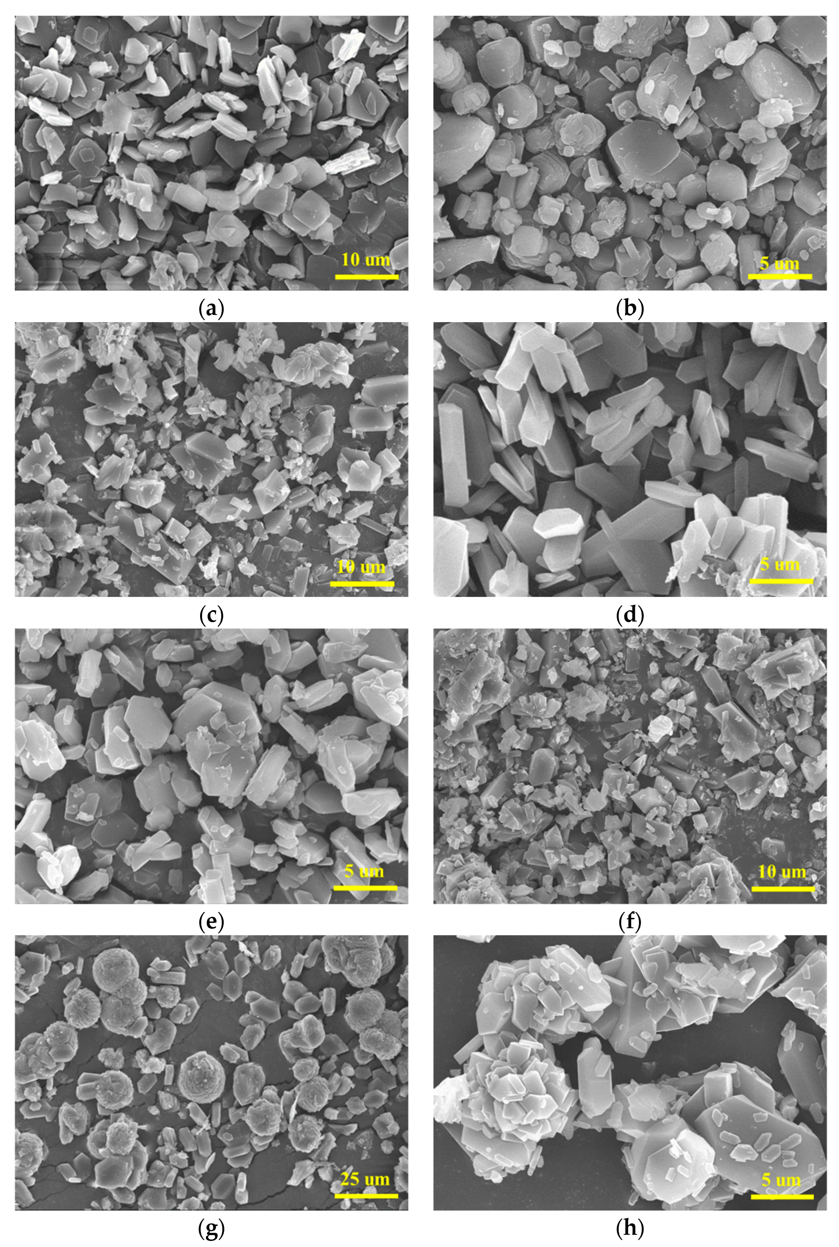 Molecules 28 04735 g003 Molecules 28 04735 g003