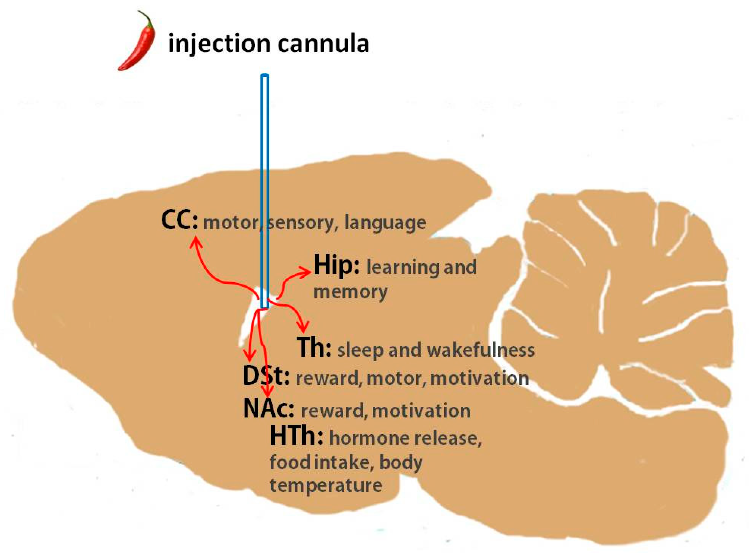 Molecules 28 04736 g005 Molecules 28 04736 g005