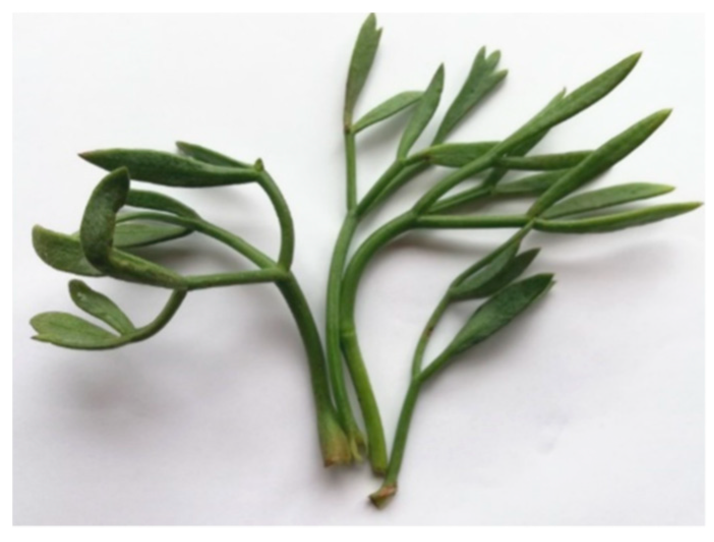 Molecules 28 04741 g002 Molecules 28 04741 g002