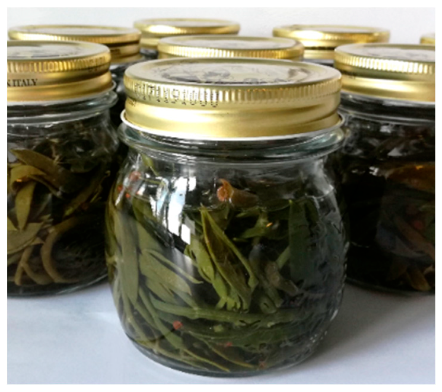 Molecules 28 04741 g003 Molecules 28 04741 g003