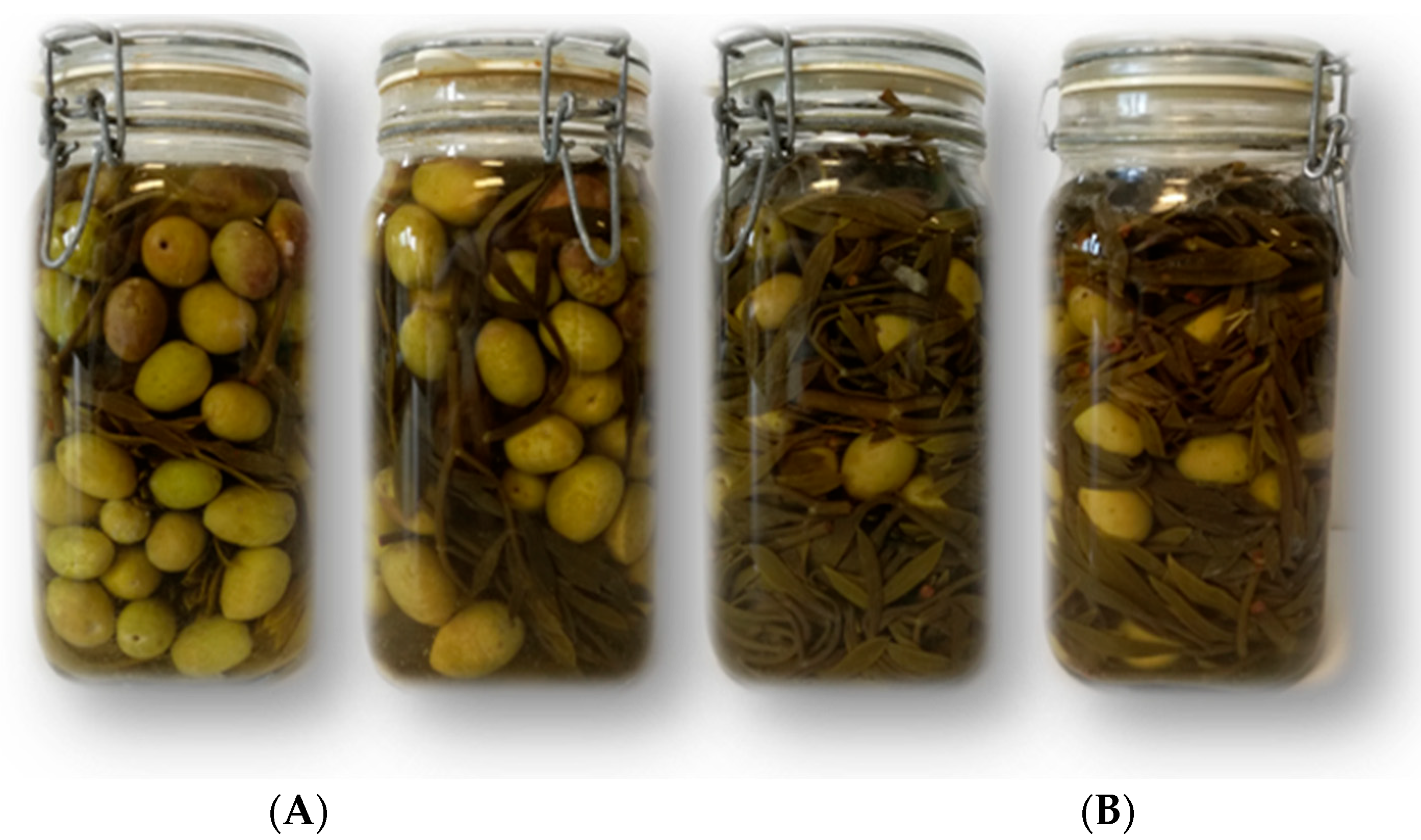 Molecules 28 04741 g004 Molecules 28 04741 g004