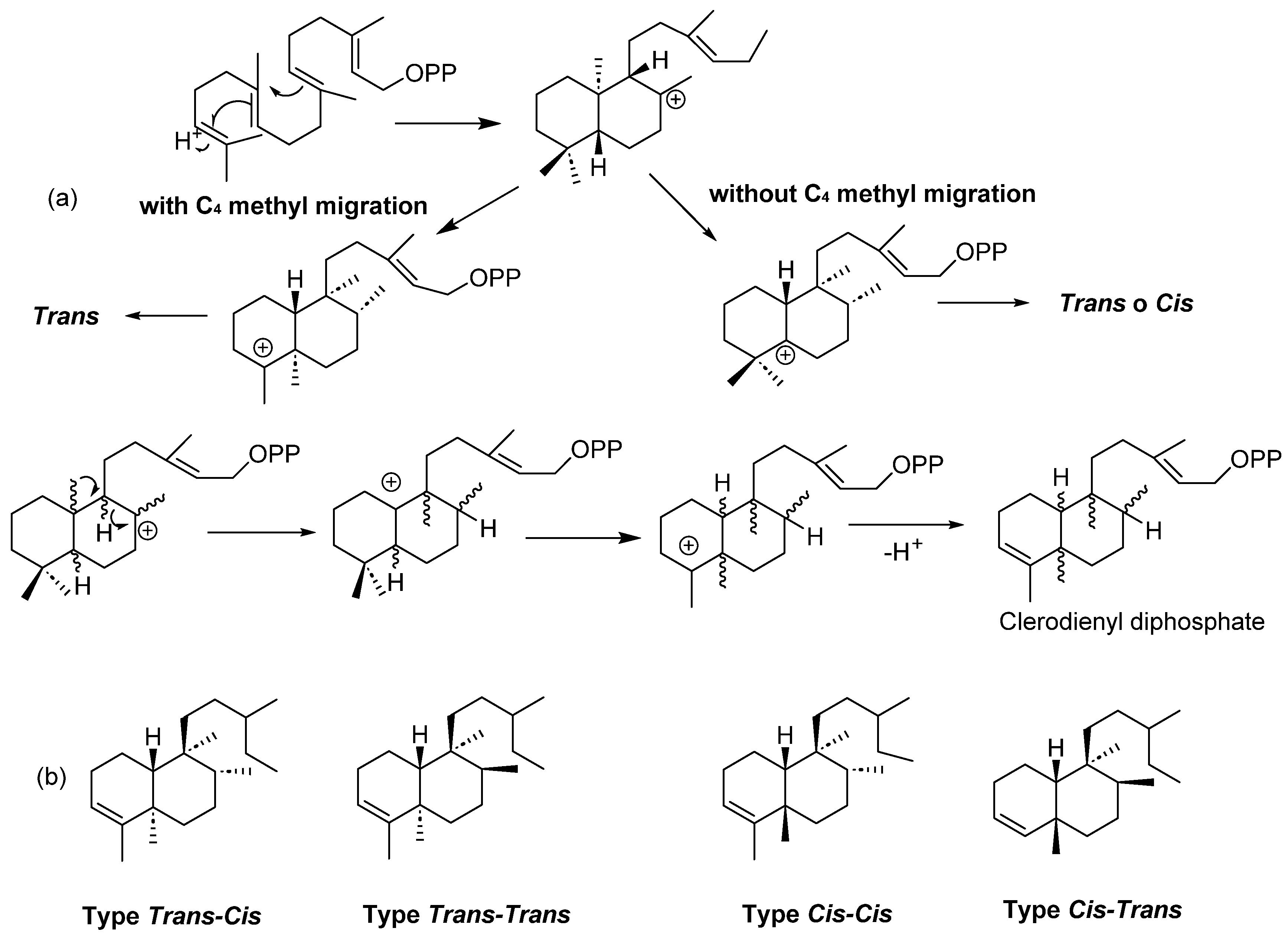 Molecules 28 04744 g001 Molecules 28 04744 g001