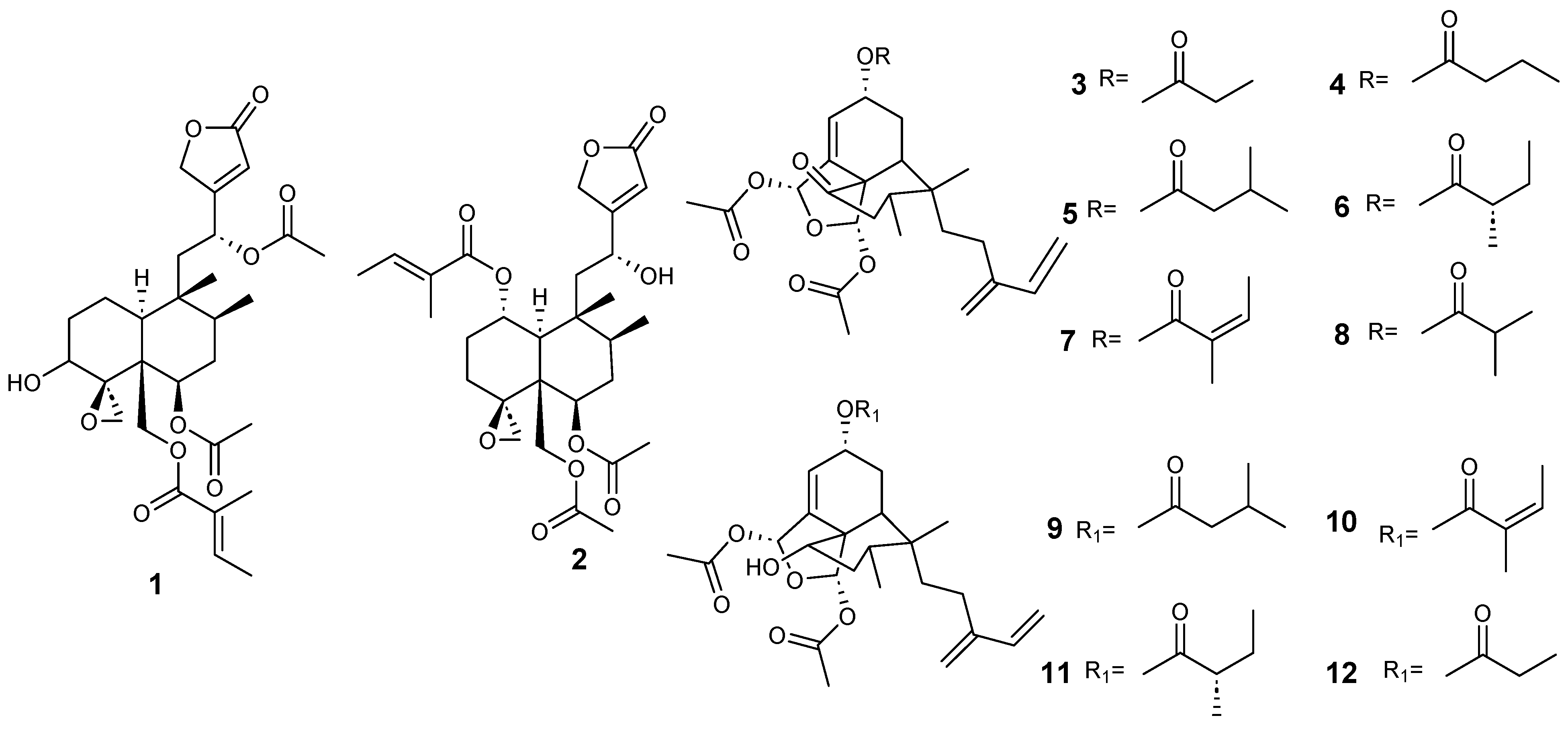 Molecules 28 04744 g003 Molecules 28 04744 g003