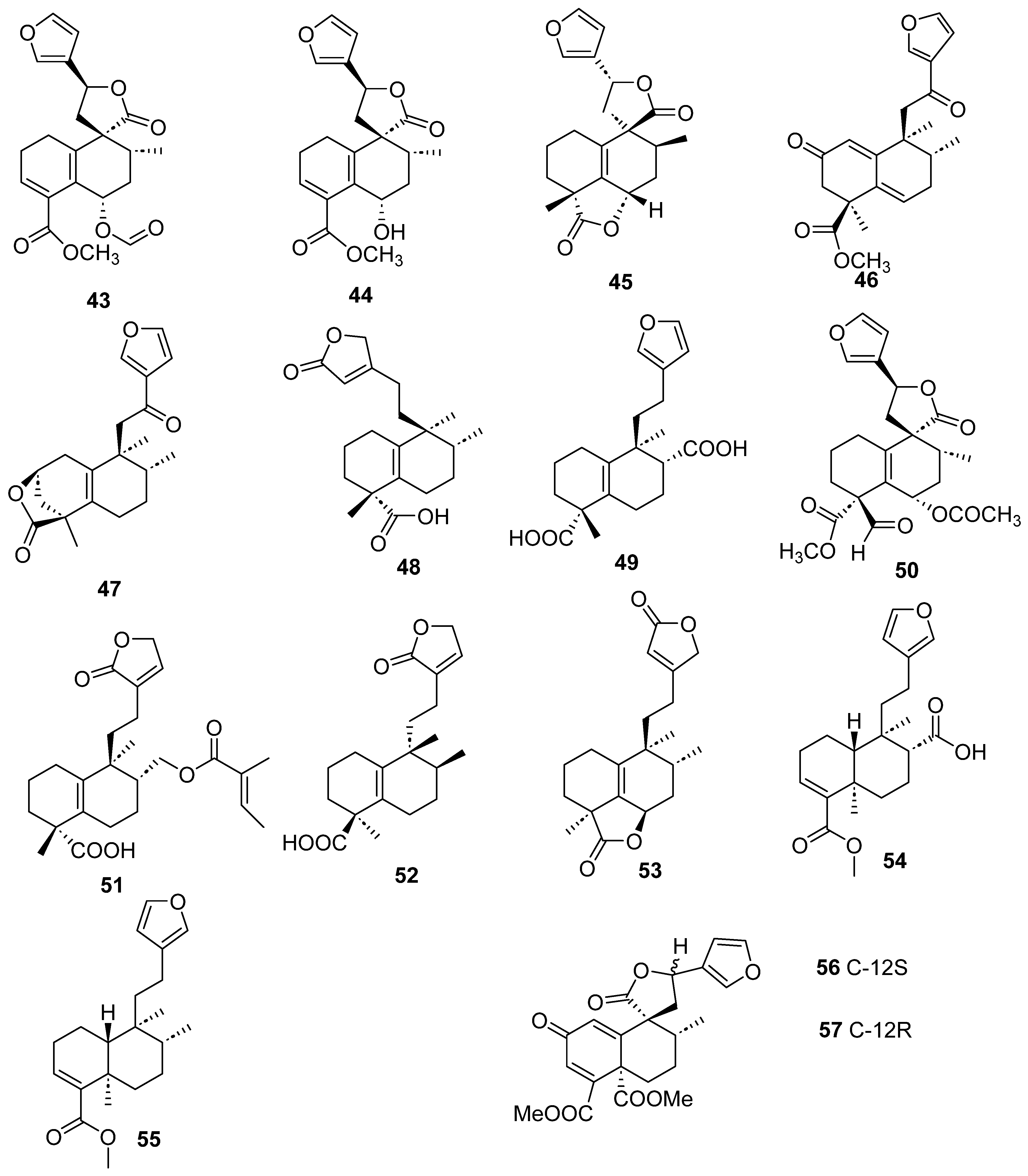 Molecules 28 04744 g006 Molecules 28 04744 g006