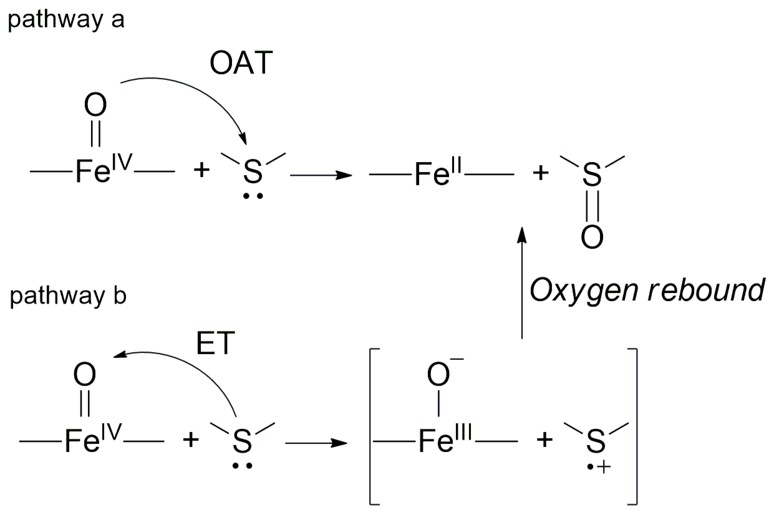 Molecules 28 04745 sch001 Molecules 28 04745 sch001