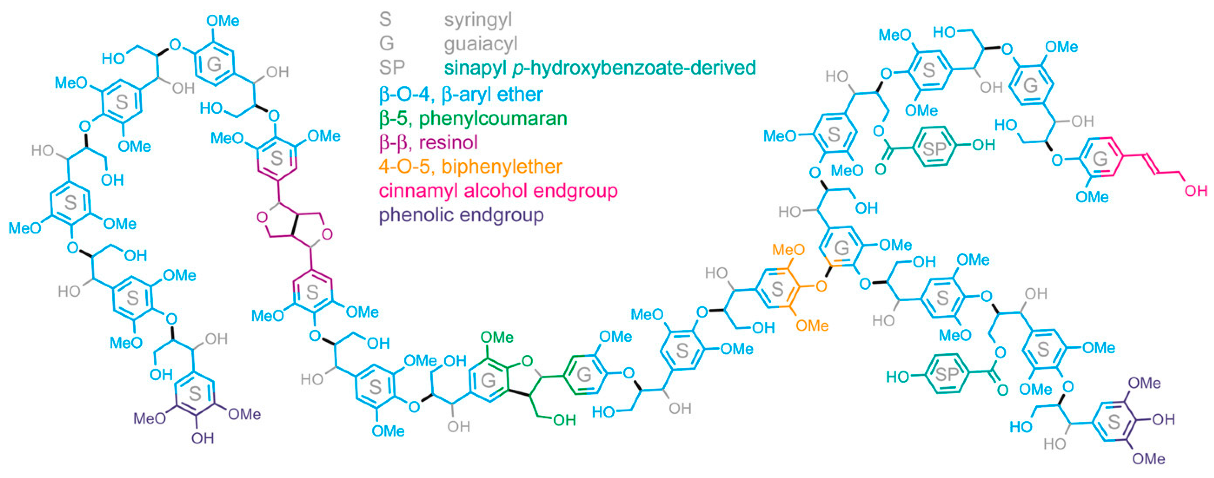 Molecules 28 04746 g001