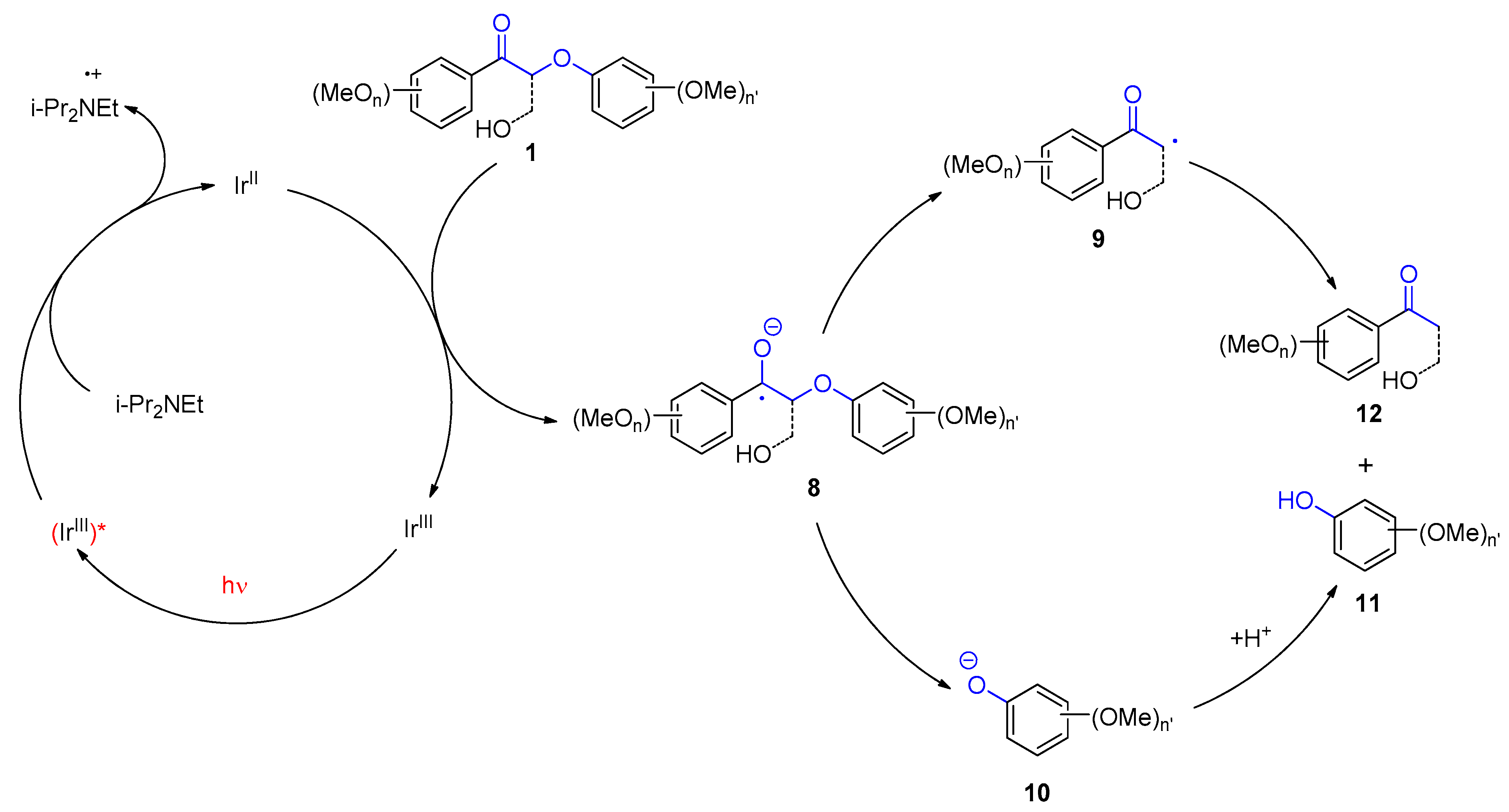 Molecules 28 04746 sch002