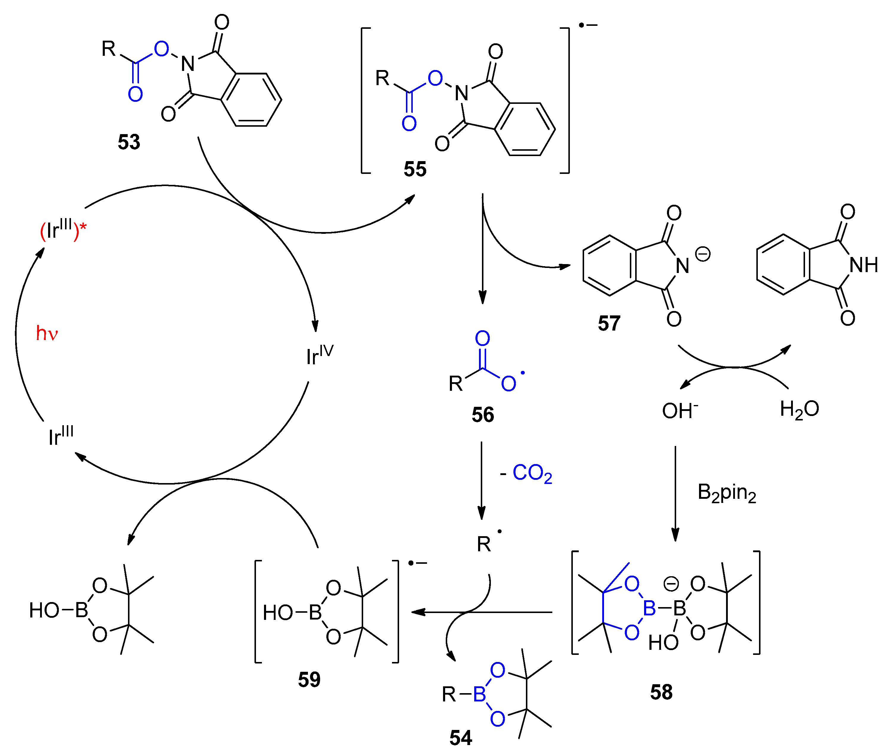 Molecules 28 04746 sch012