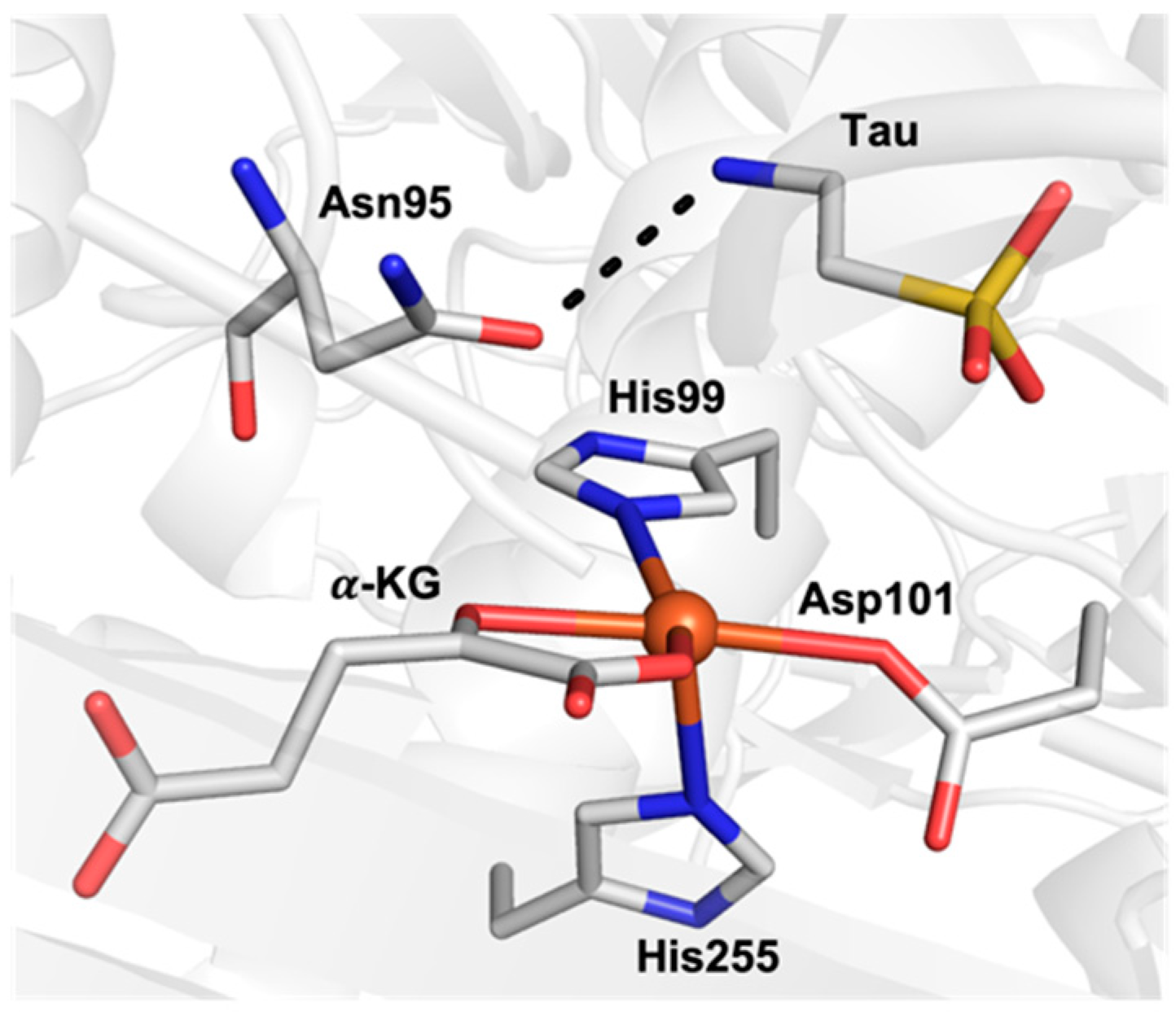 Molecules 28 04755 g001 Molecules 28 04755 g001