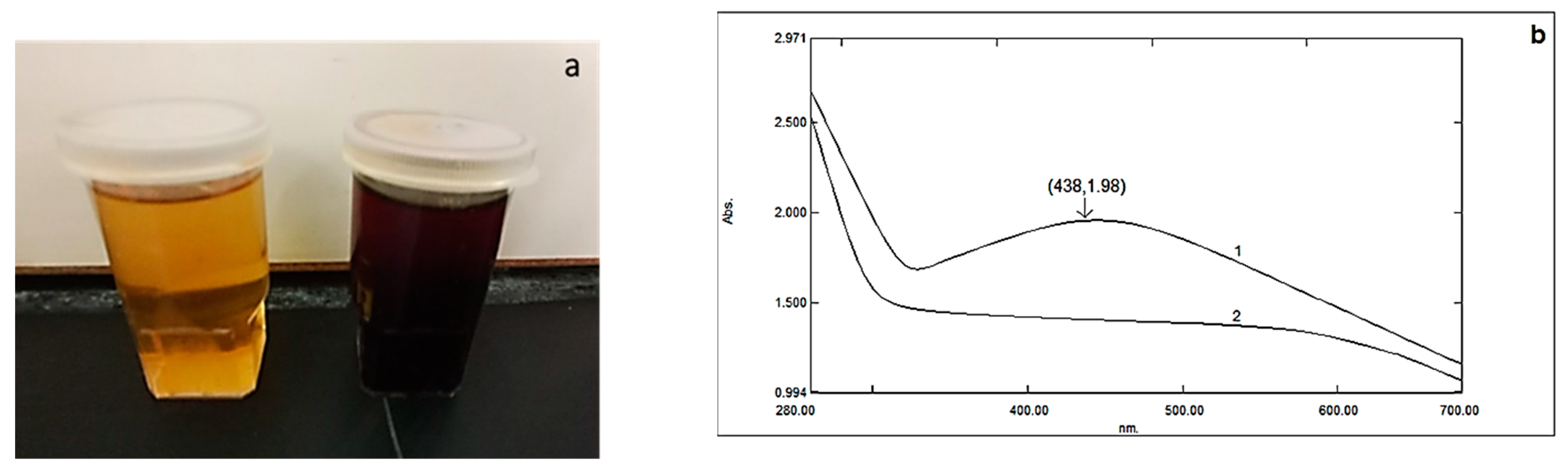Molecules 28 04757 g001