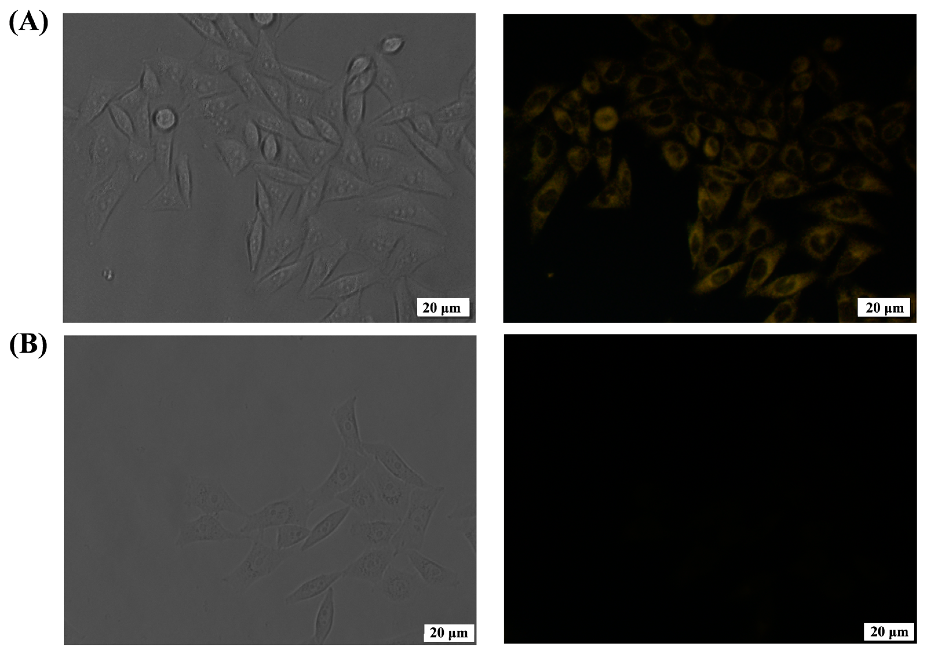 Molecules 28 04759 g007