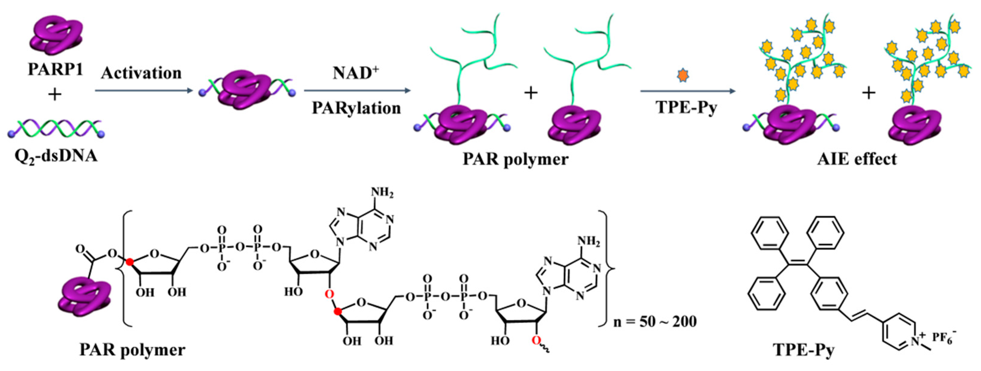 Molecules 28 04759 sch001