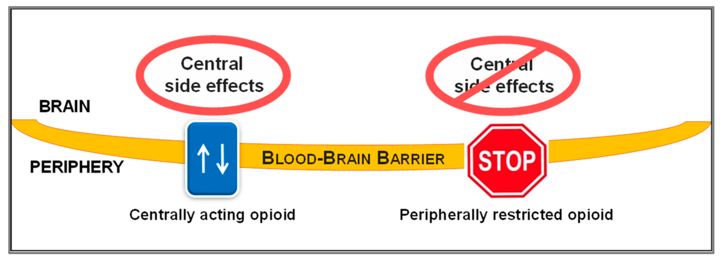 Molecules 28 04761 g002 Molecules 28 04761 g002