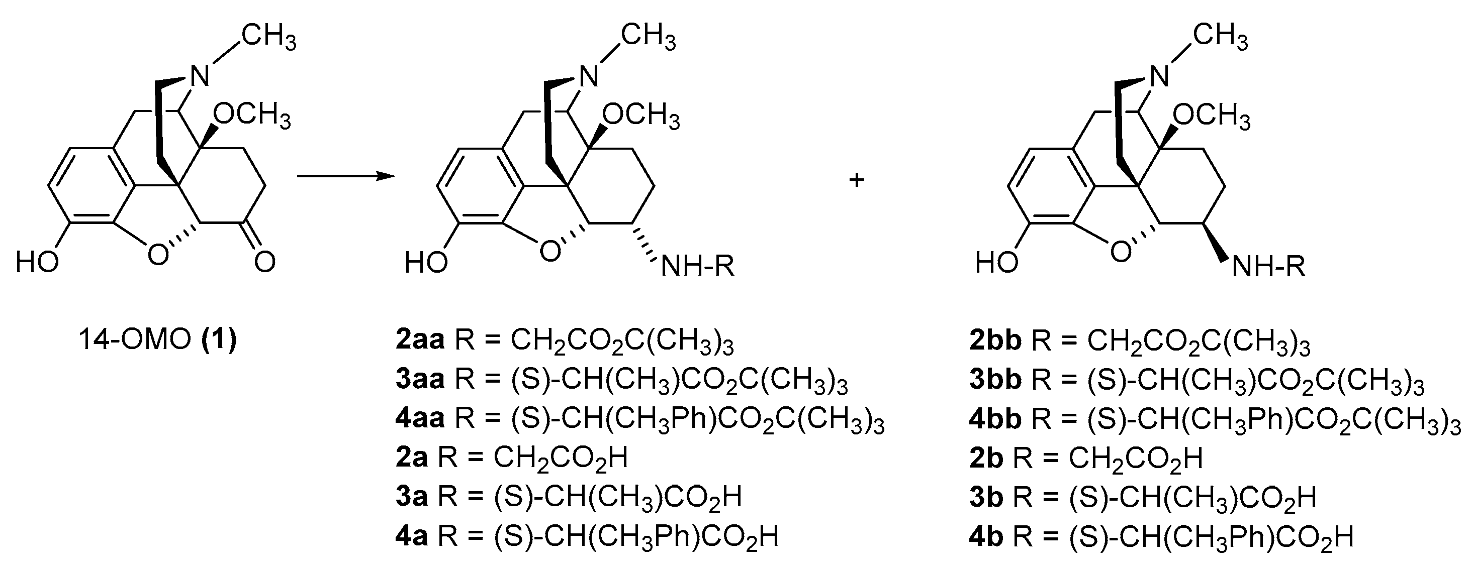 Molecules 28 04761 sch001 Molecules 28 04761 sch001