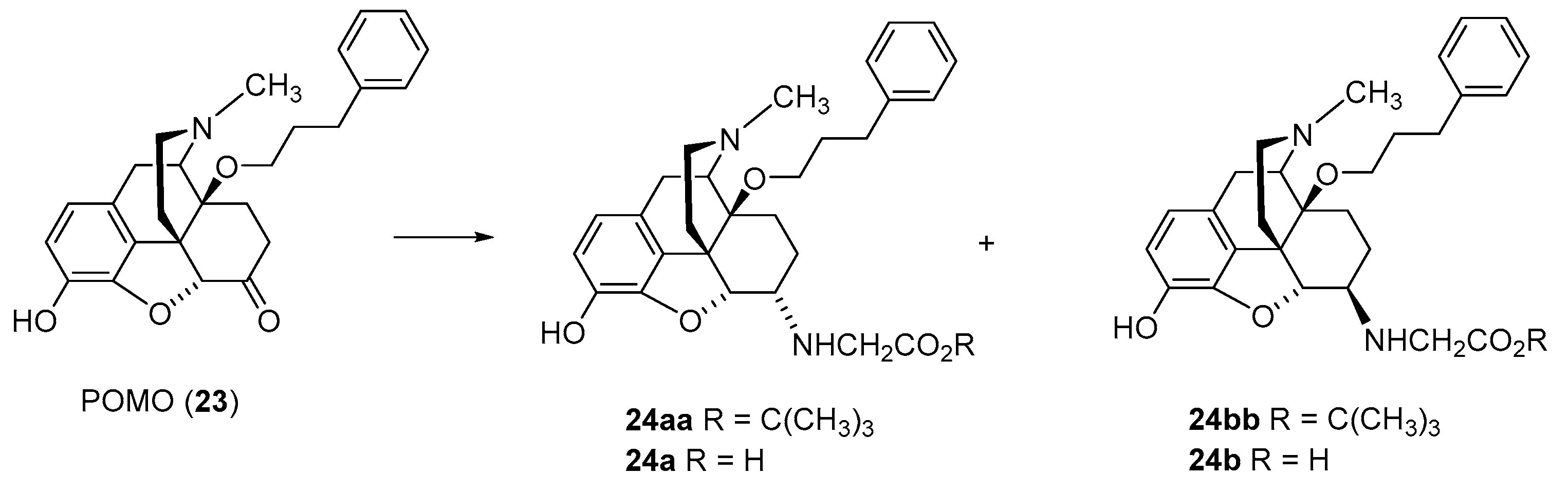 Molecules 28 04761 sch004 Molecules 28 04761 sch004