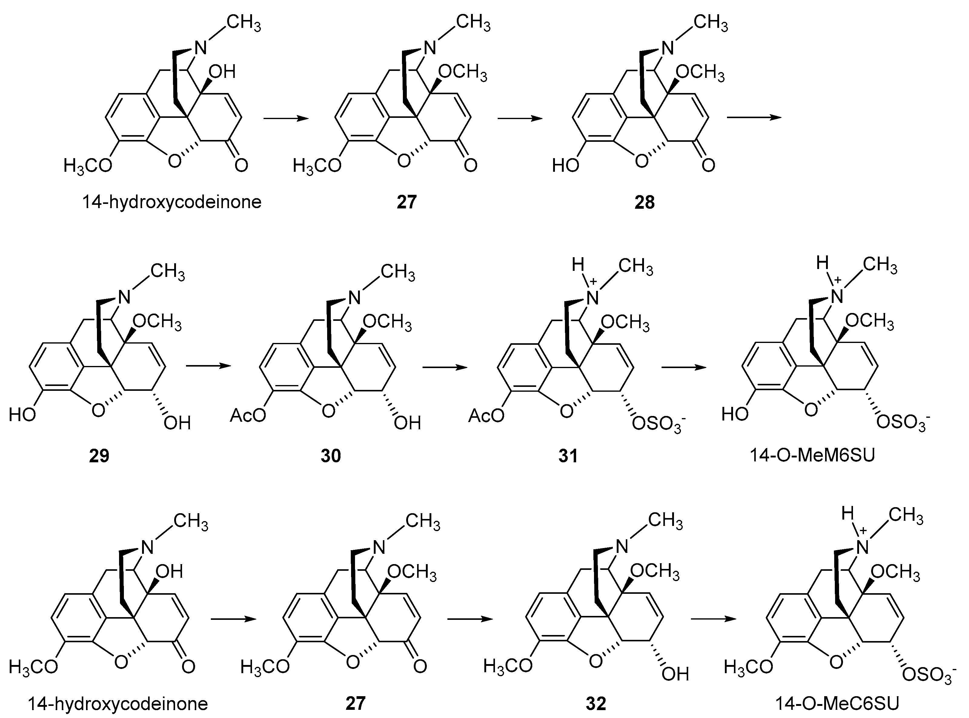 Molecules 28 04761 sch006 Molecules 28 04761 sch006