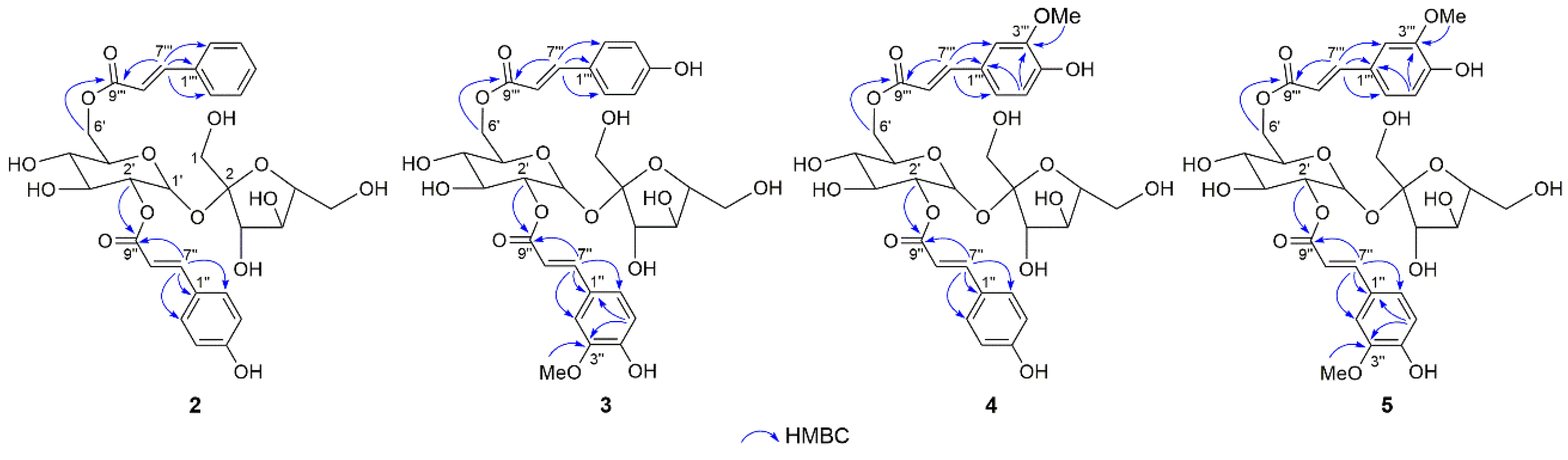 Molecules 28 04767 g003