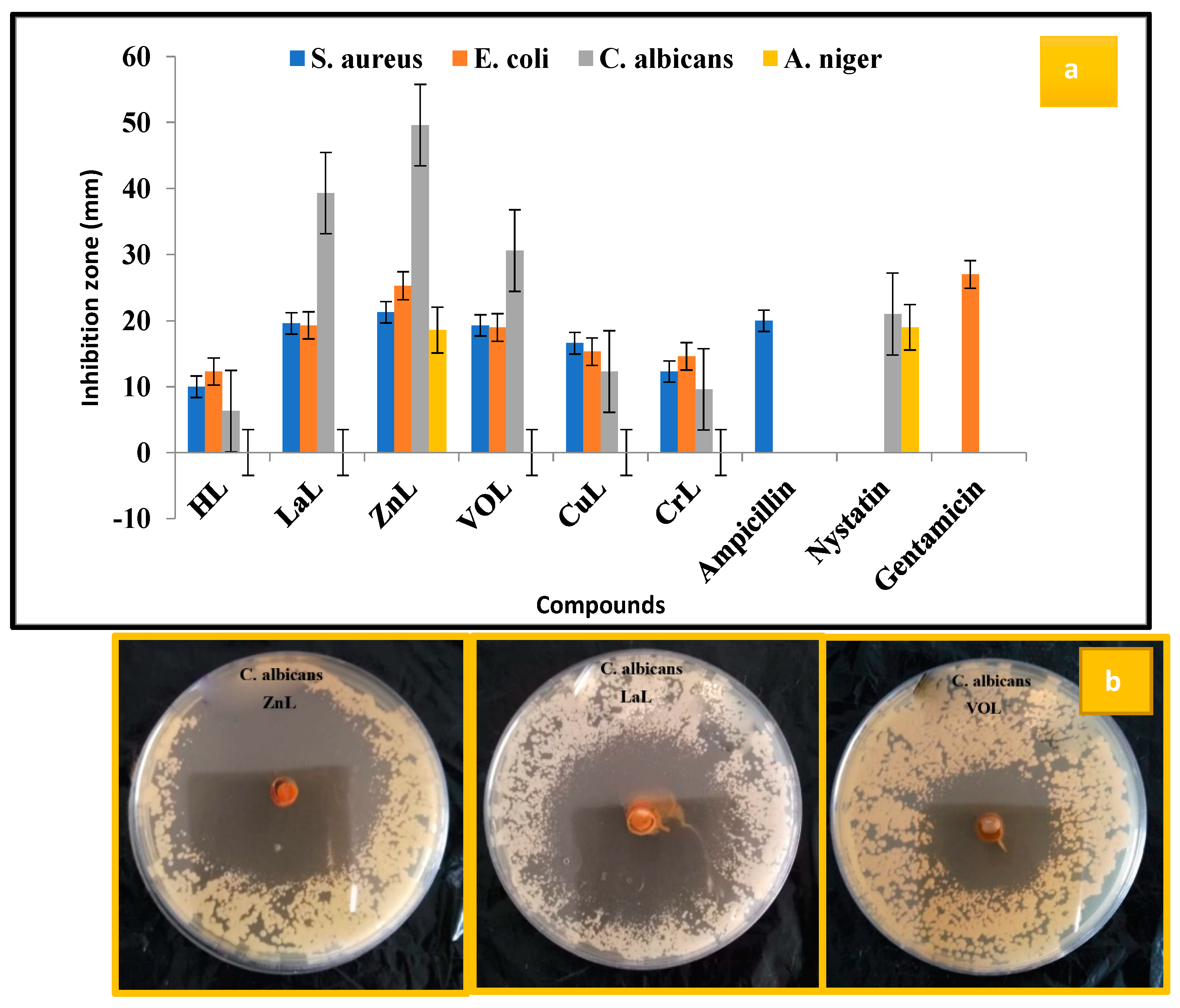 Molecules 28 04777 g009 Molecules 28 04777 g009