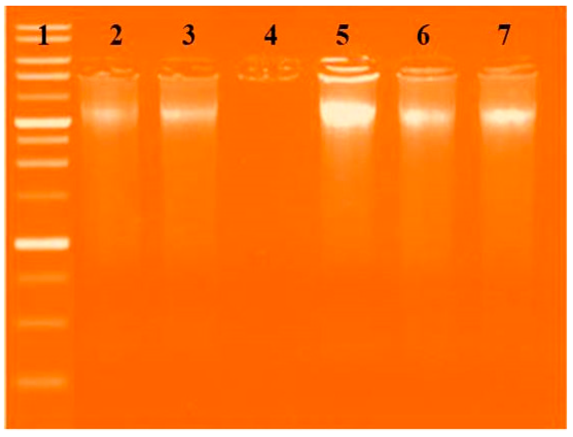 Molecules 28 04777 g012 Molecules 28 04777 g012