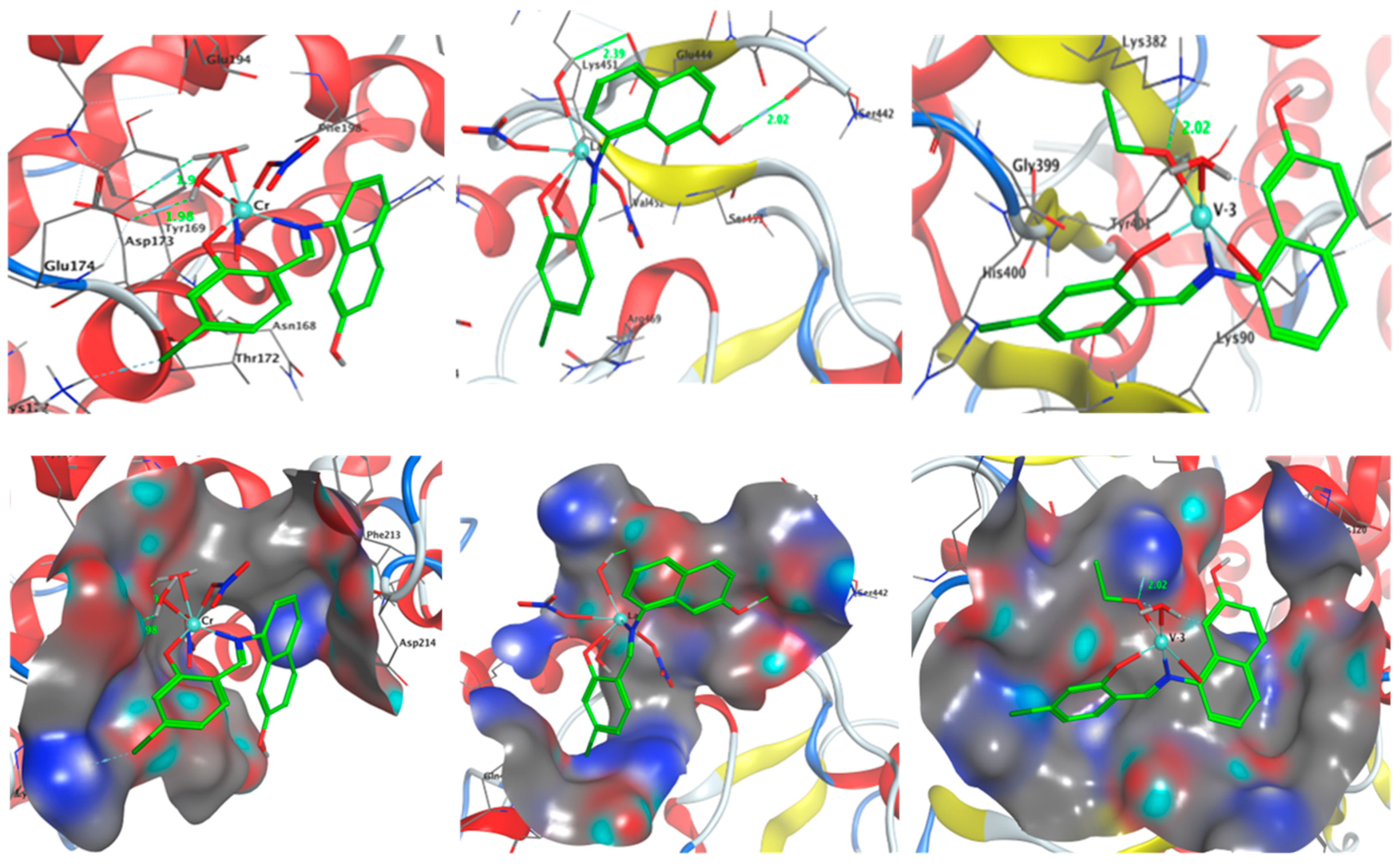 Molecules 28 04777 g016b Molecules 28 04777 g016b