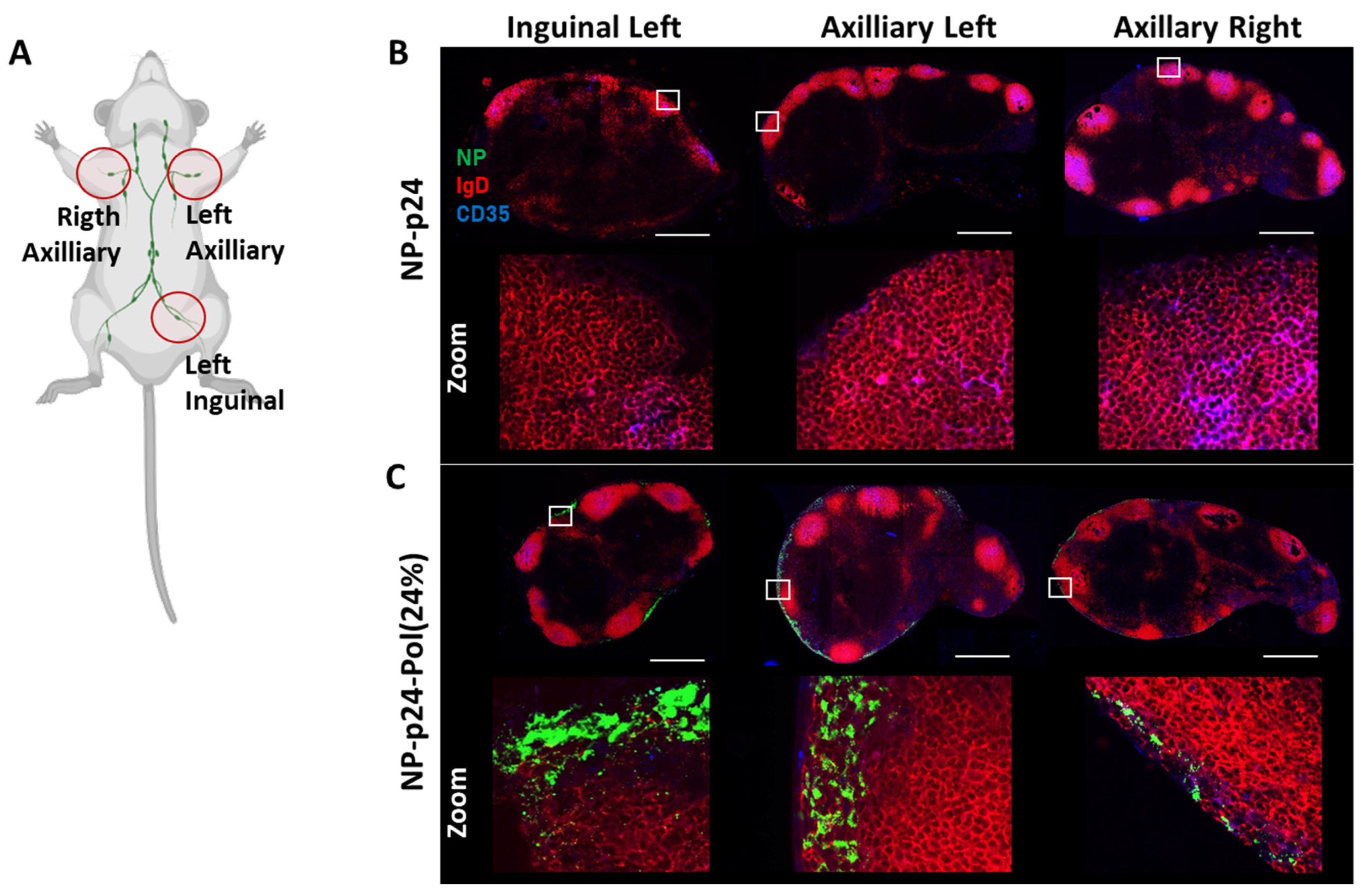 Molecules 28 04778 g005