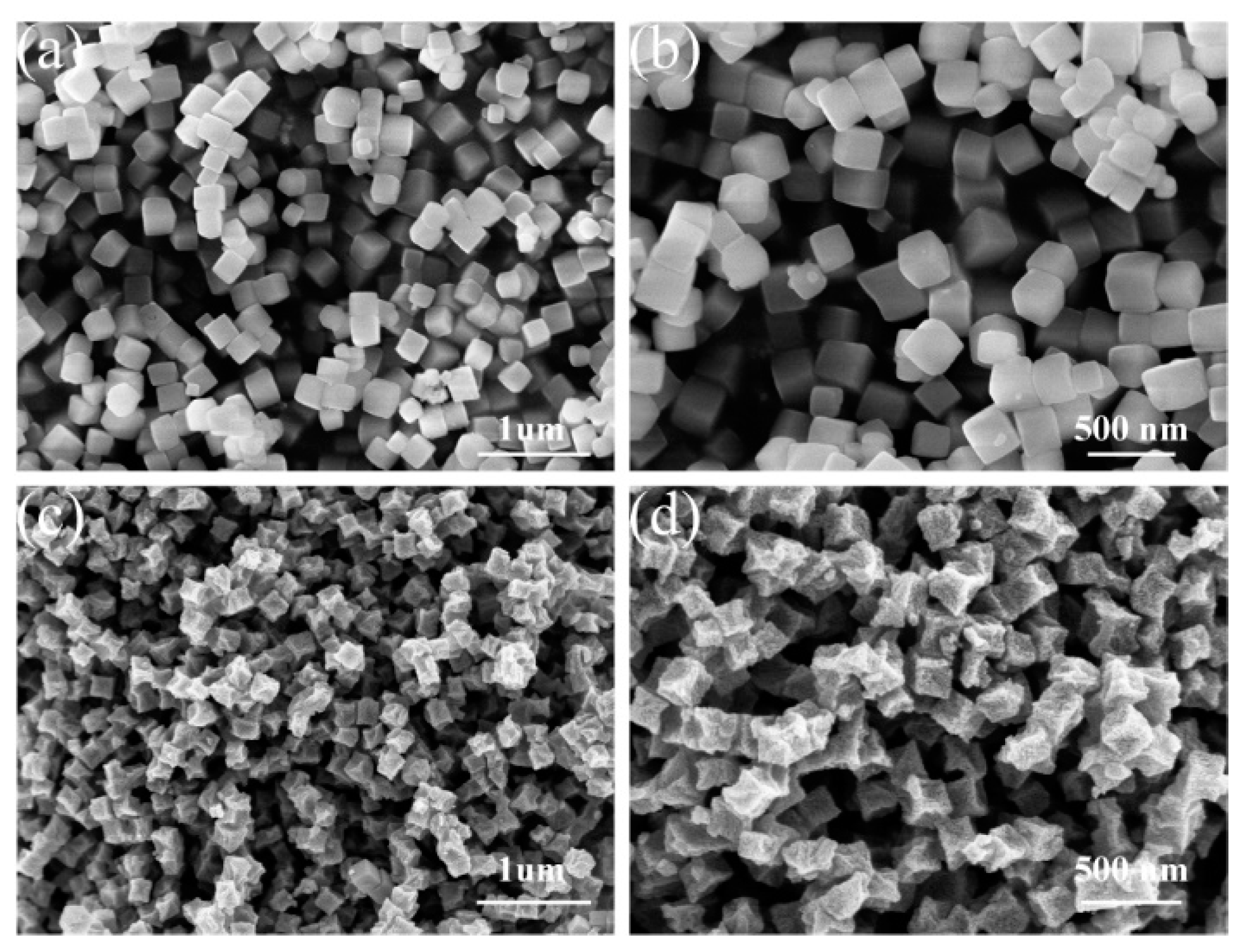 Molecules 28 04789 g002