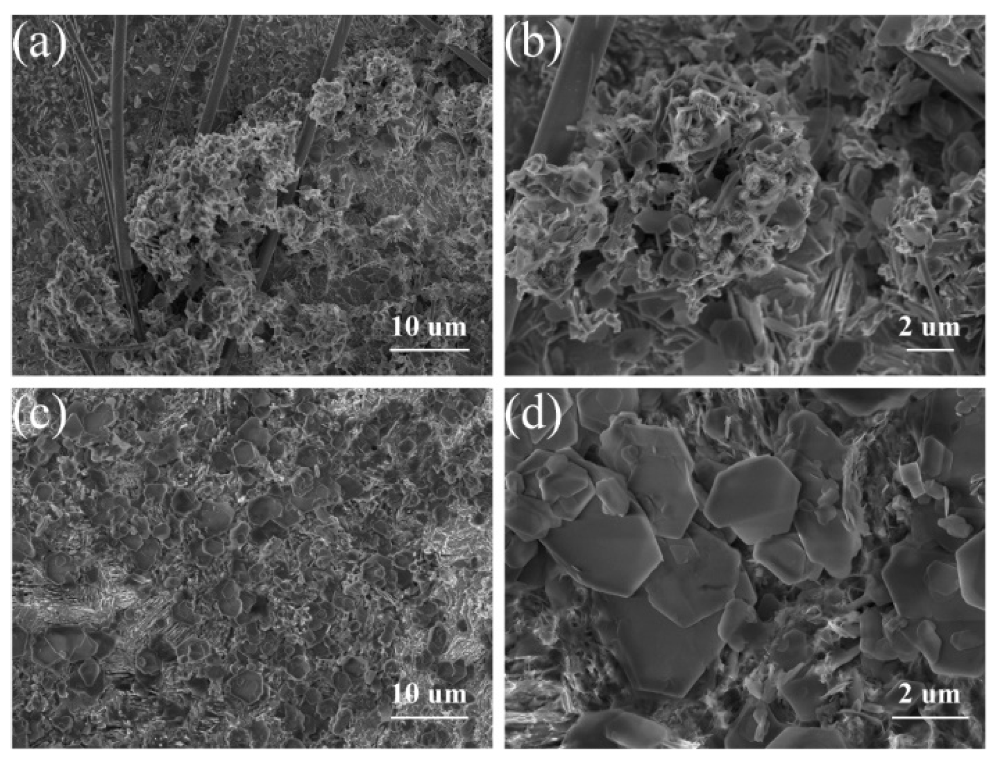 Molecules 28 04789 g005