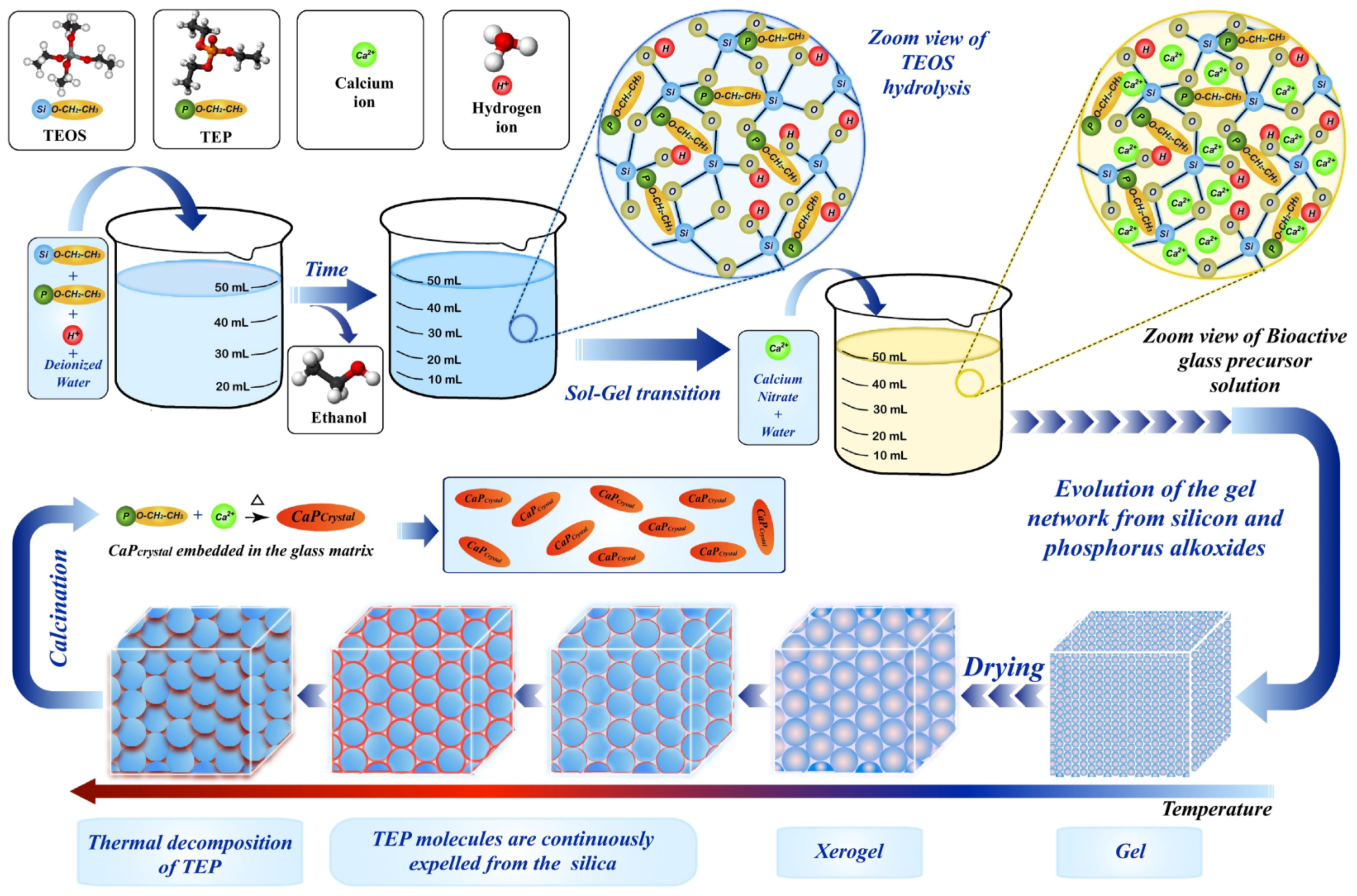 Molecules 28 04790 g003 Molecules 28 04790 g003
