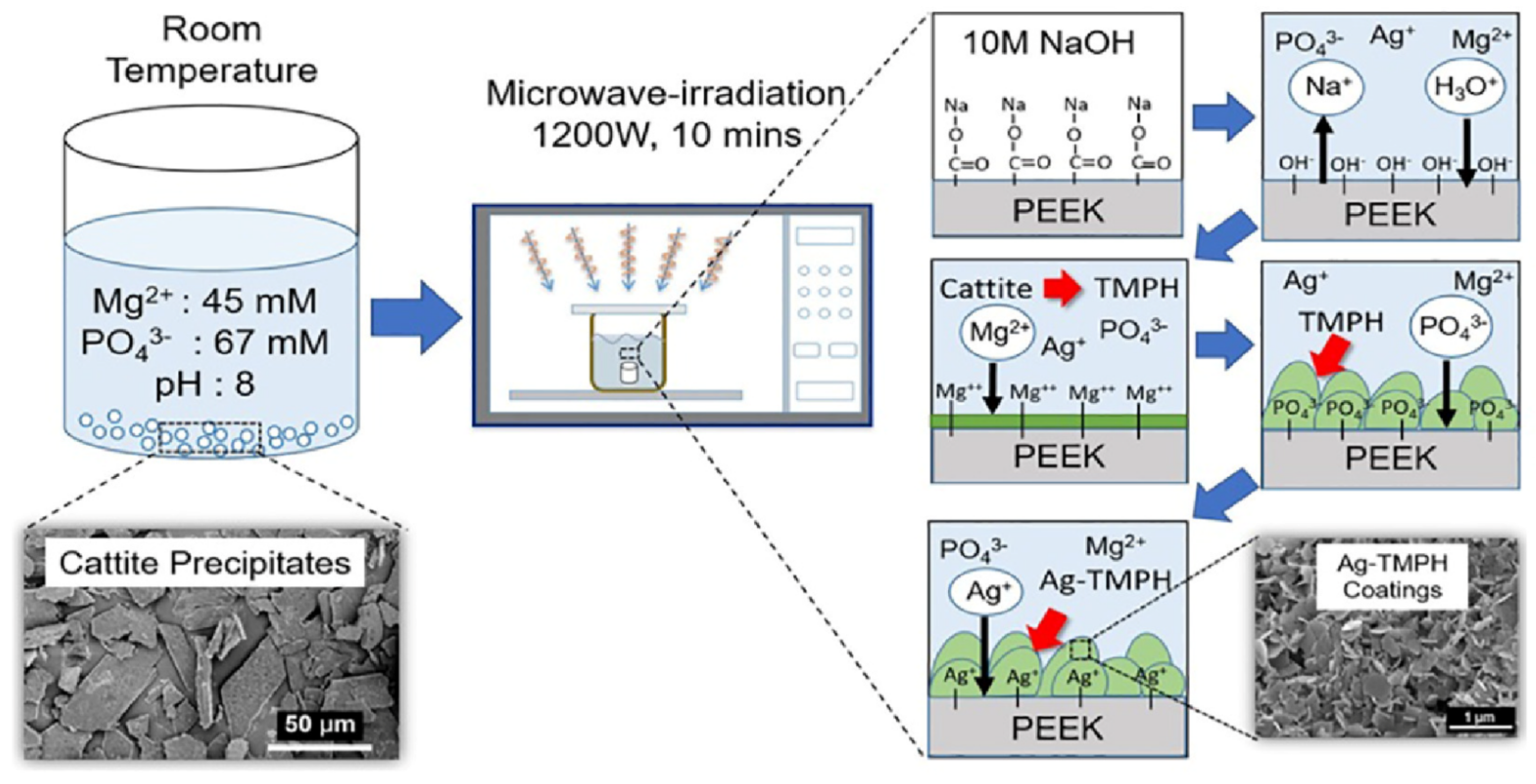 Molecules 28 04790 g004 Molecules 28 04790 g004