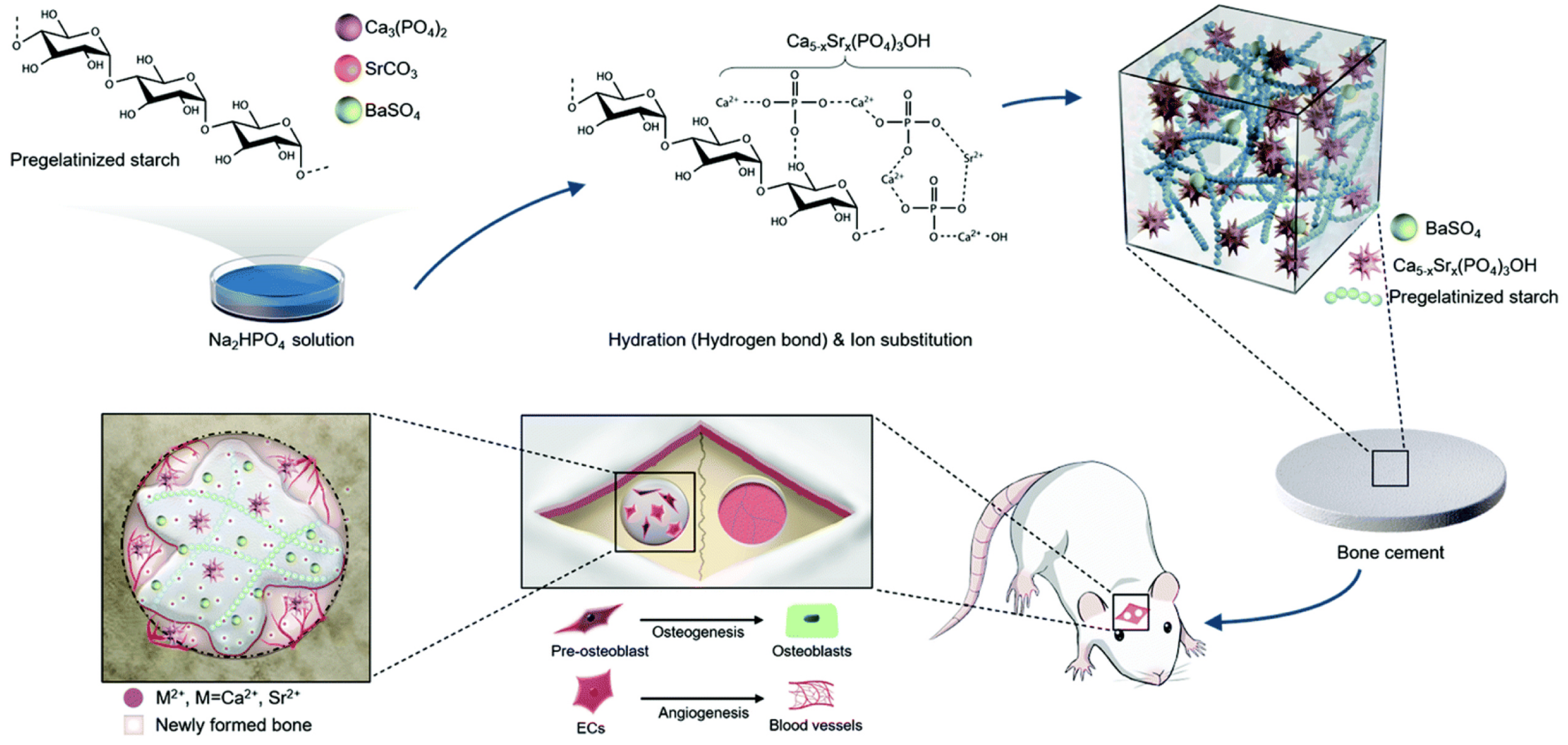 Molecules 28 04790 g009 Molecules 28 04790 g009
