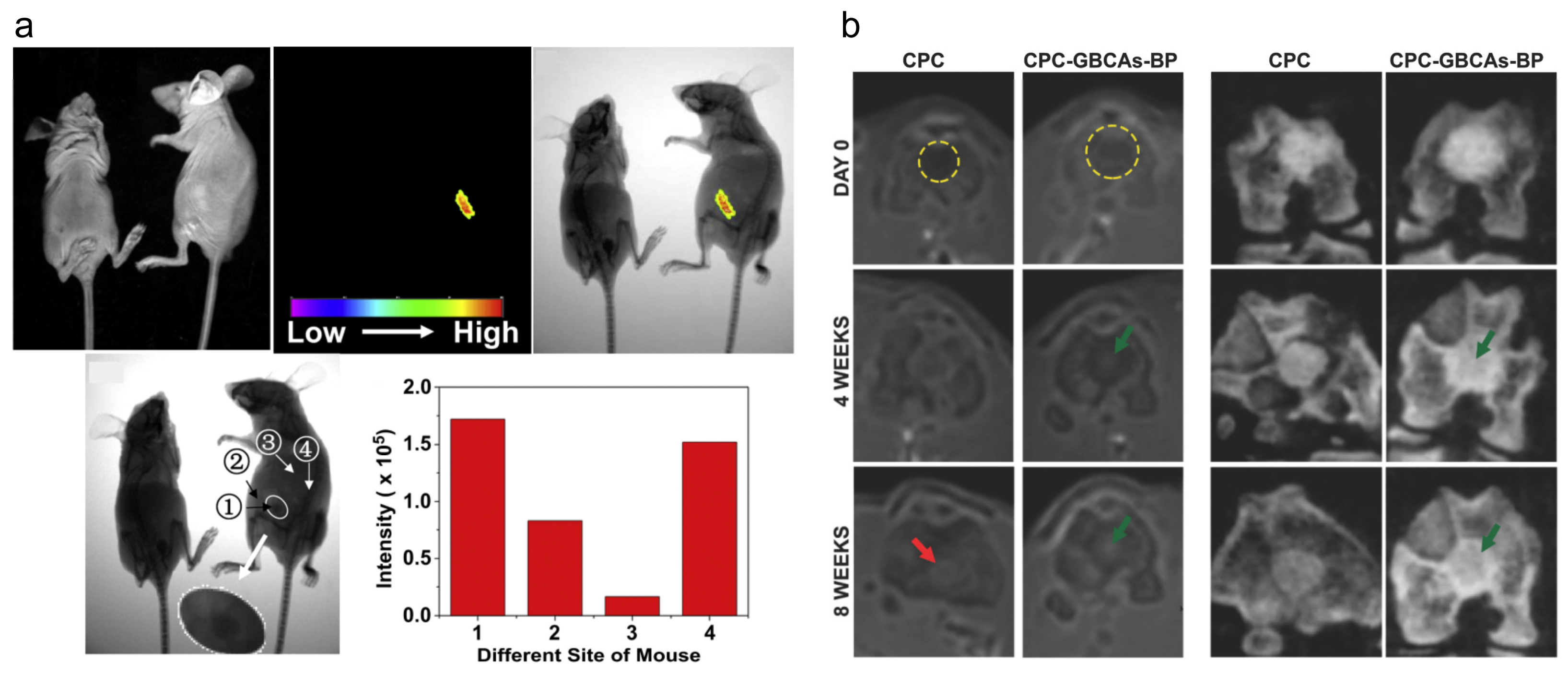 Molecules 28 04790 g011 Molecules 28 04790 g011