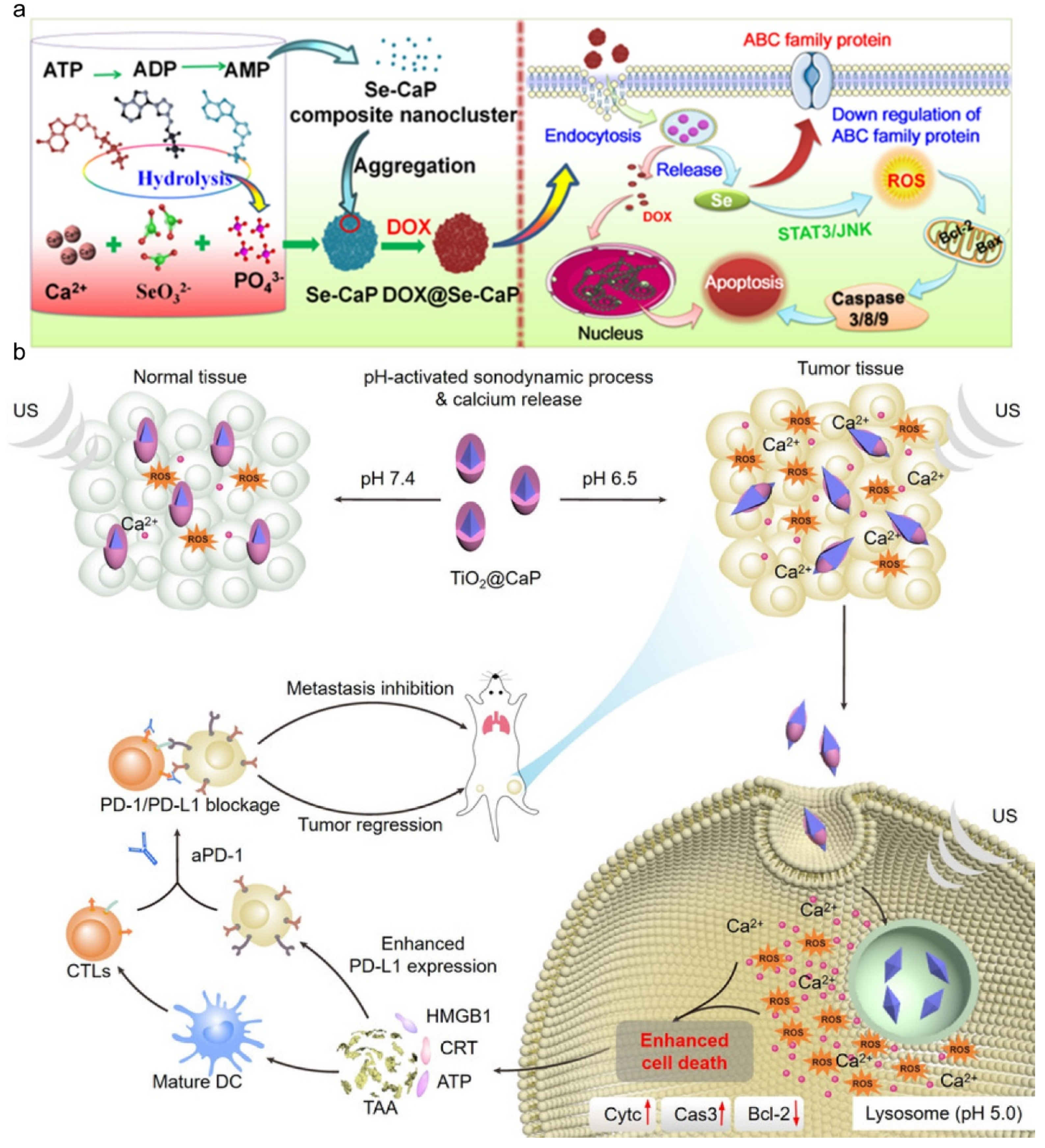 Molecules 28 04790 g012 Molecules 28 04790 g012