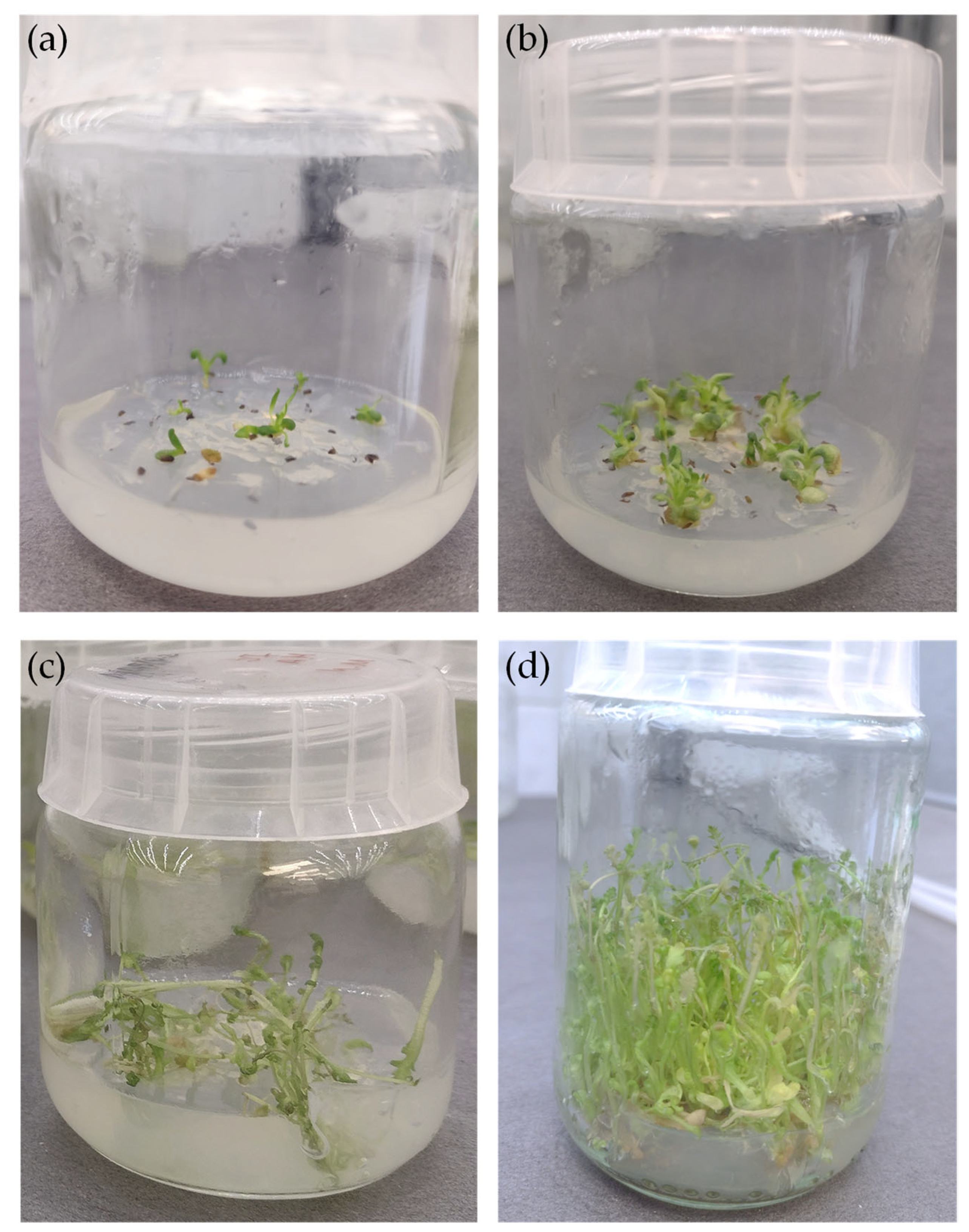 Molecules 28 04791 g001 Molecules 28 04791 g001