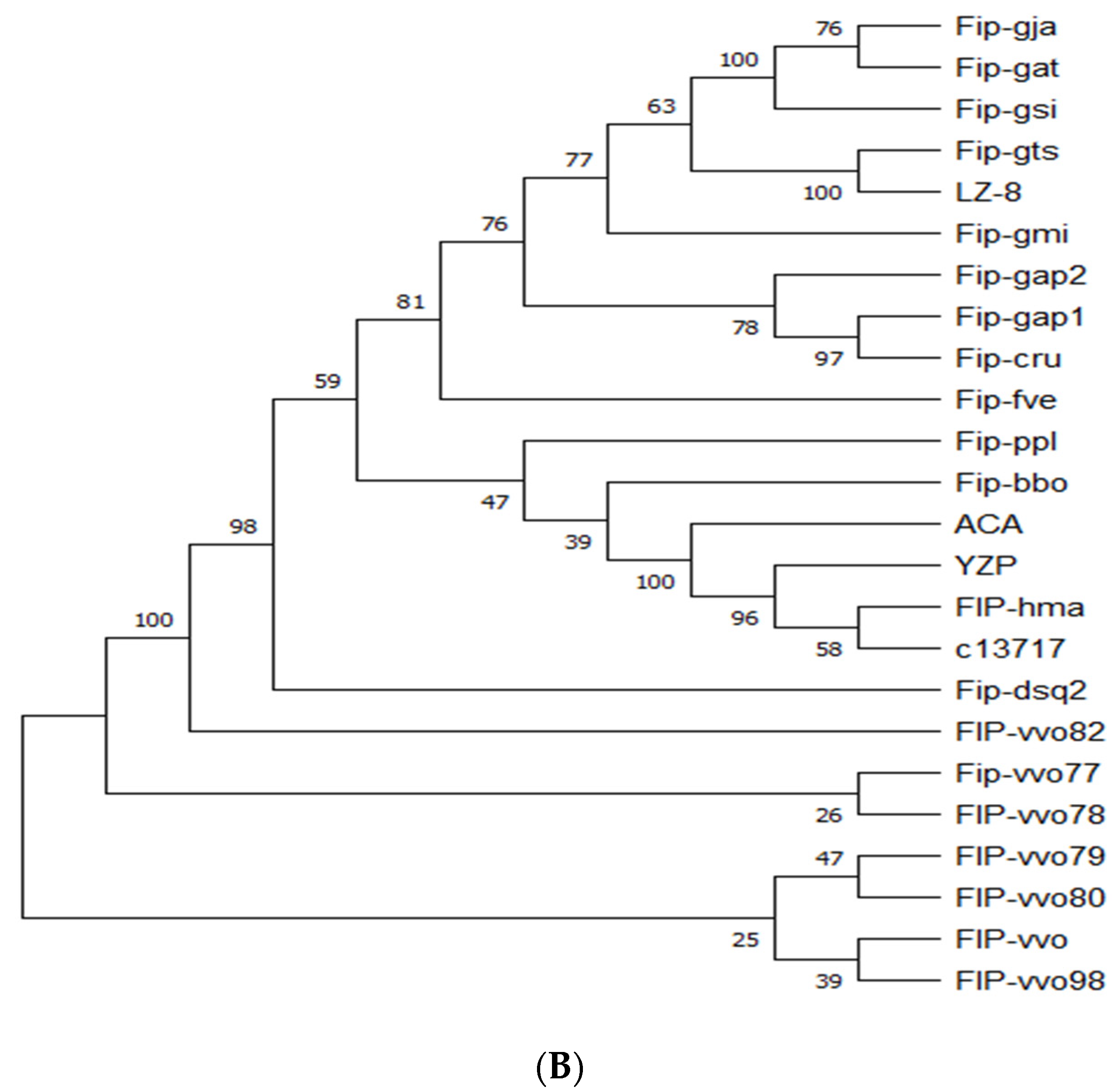 Molecules 28 04796 g001b Molecules 28 04796 g001b
