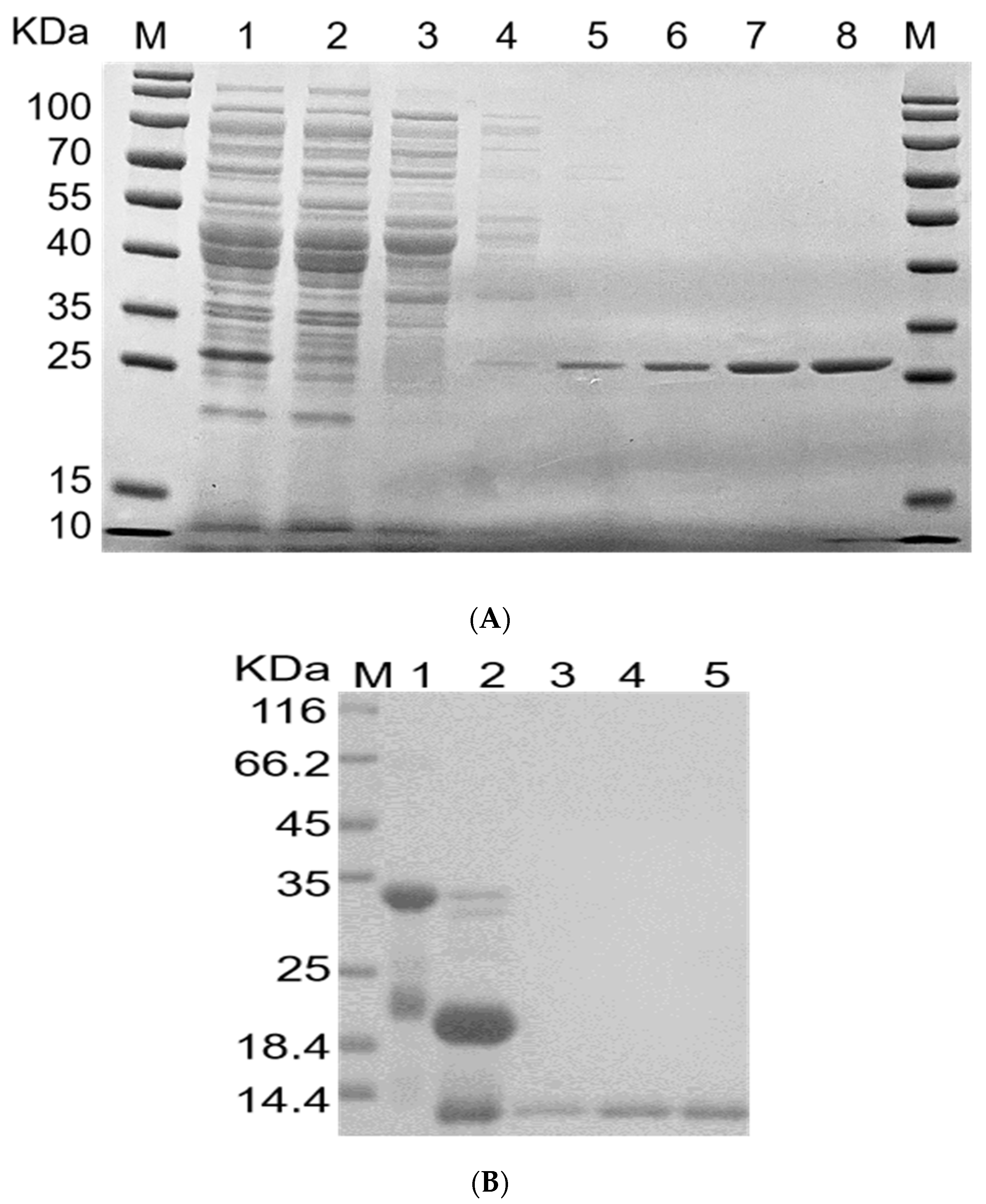 Molecules 28 04796 g005 Molecules 28 04796 g005