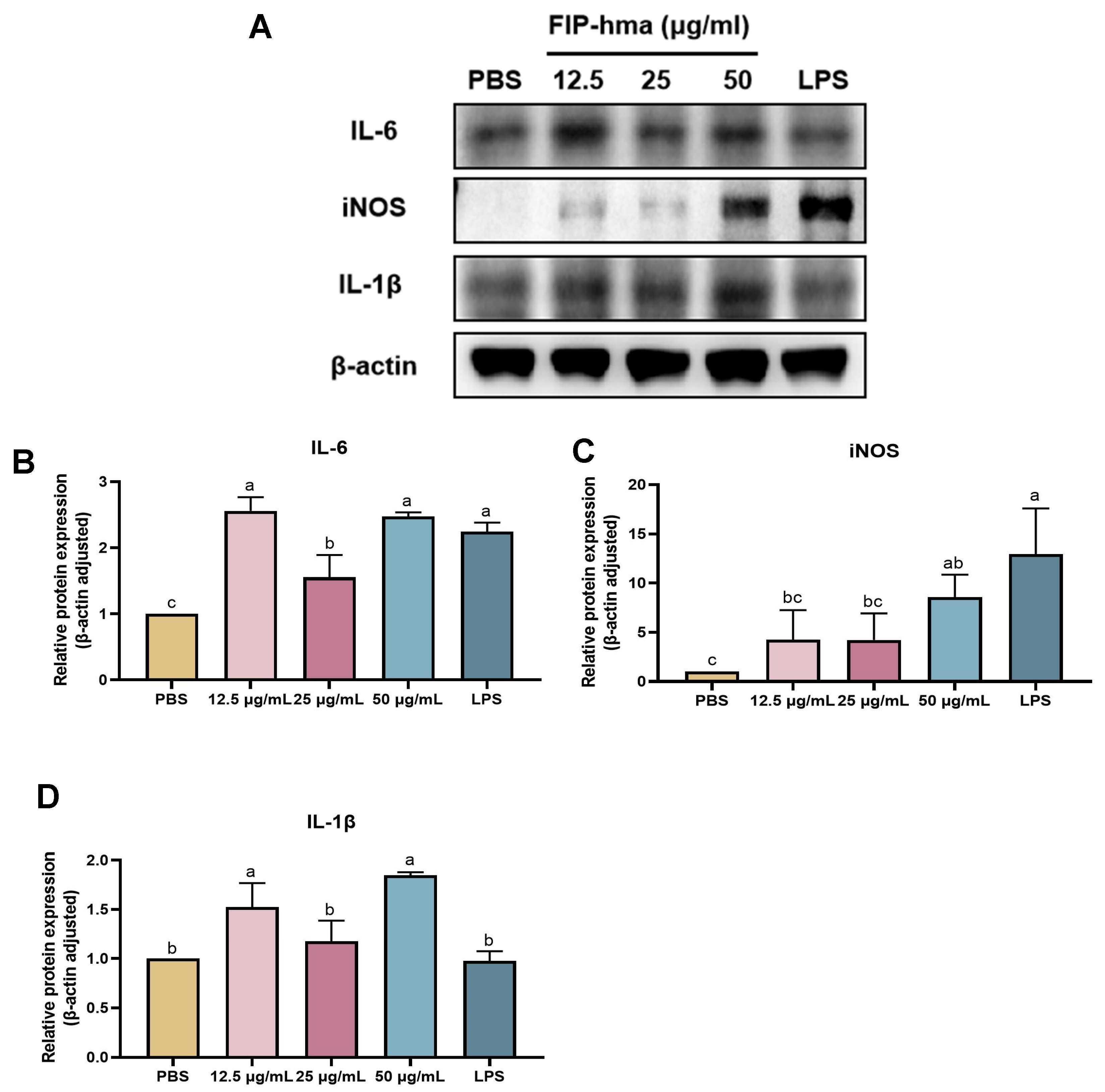 Molecules 28 04796 g008 Molecules 28 04796 g008