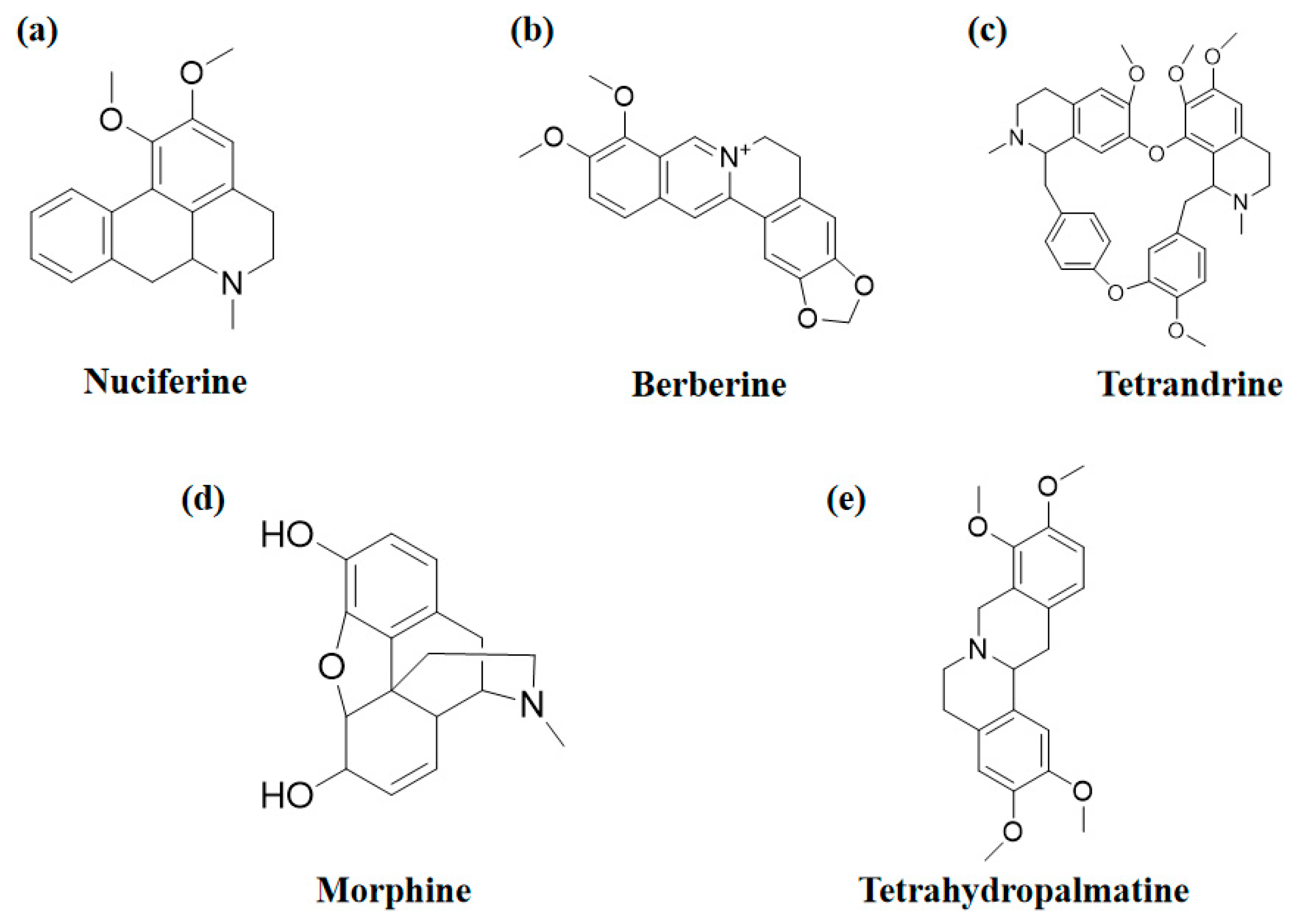 Molecules 28 04797 g001 Molecules 28 04797 g001
