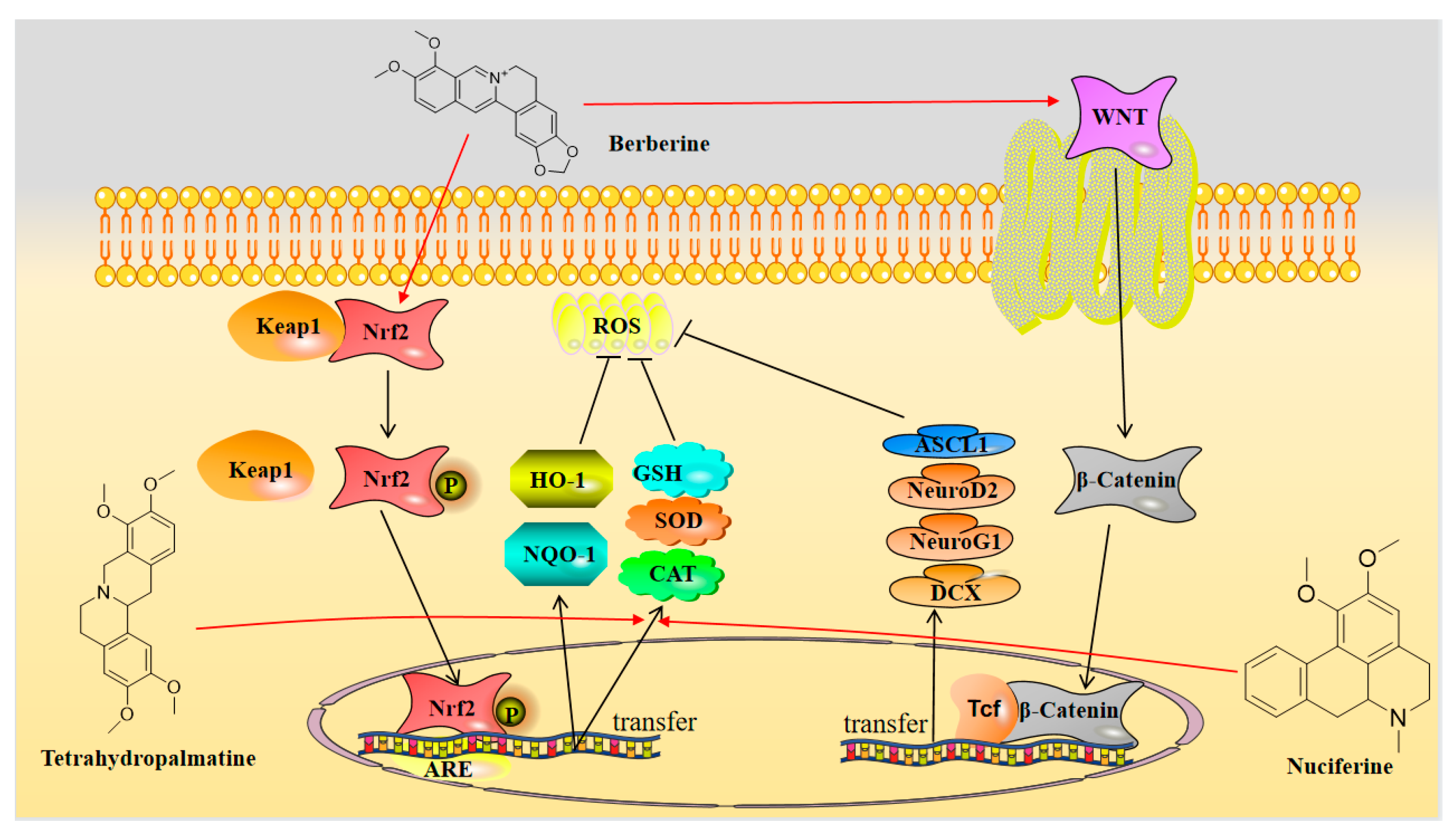 Molecules 28 04797 g003 Molecules 28 04797 g003
