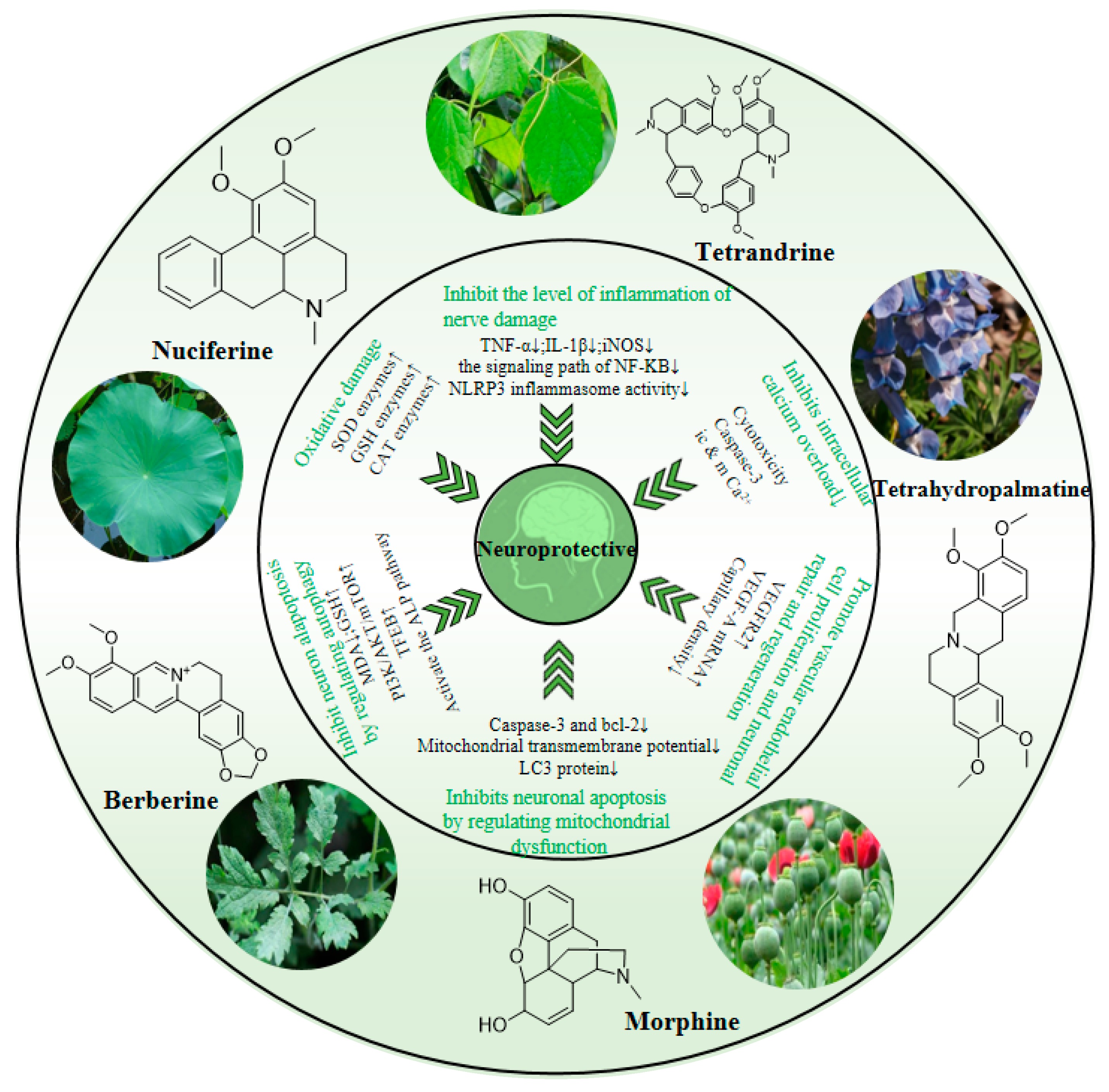 Molecules 28 04797 g006 Molecules 28 04797 g006