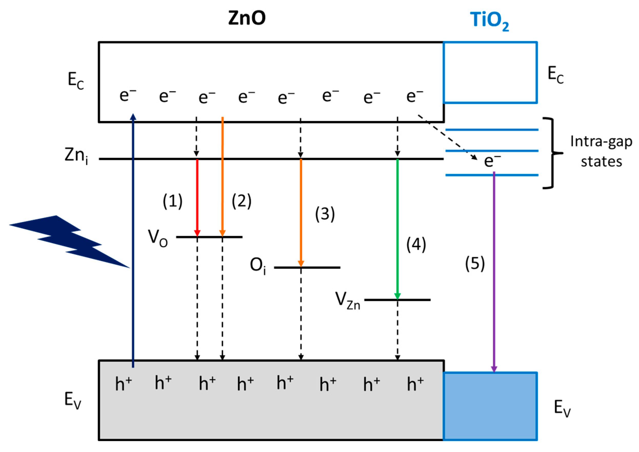 Molecules 28 04798 g007