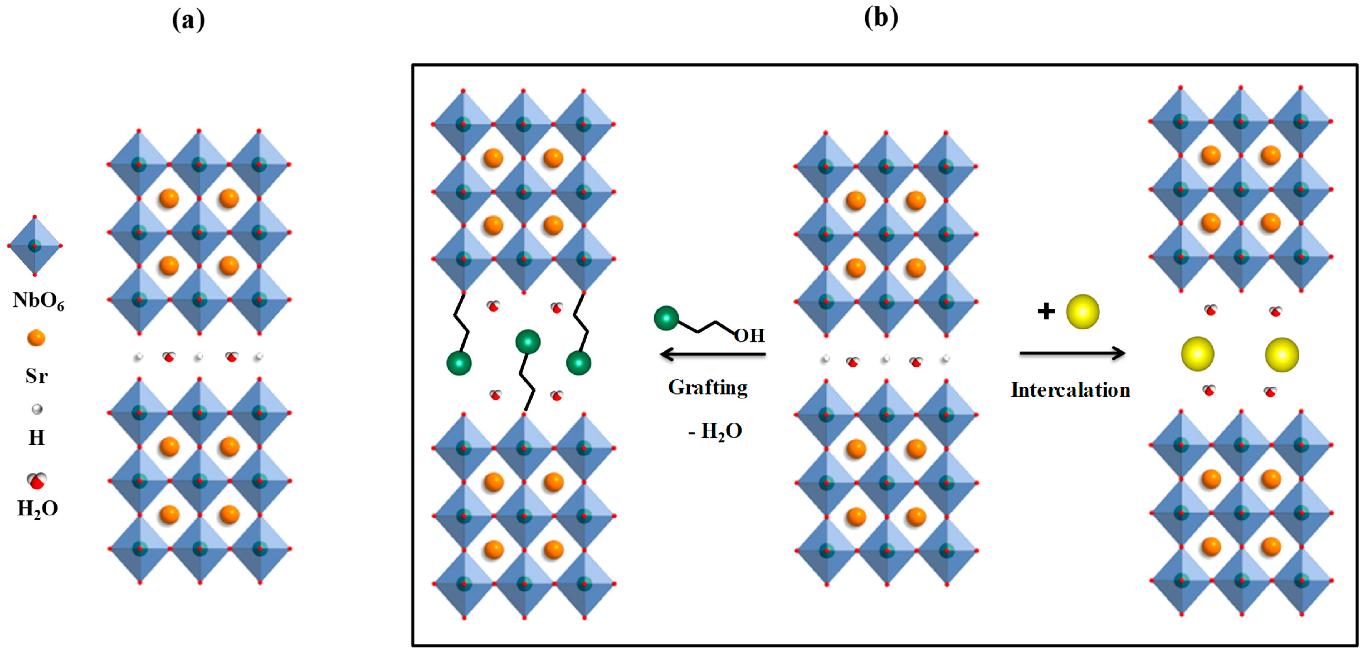 Molecules 28 04807 g001 Molecules 28 04807 g001